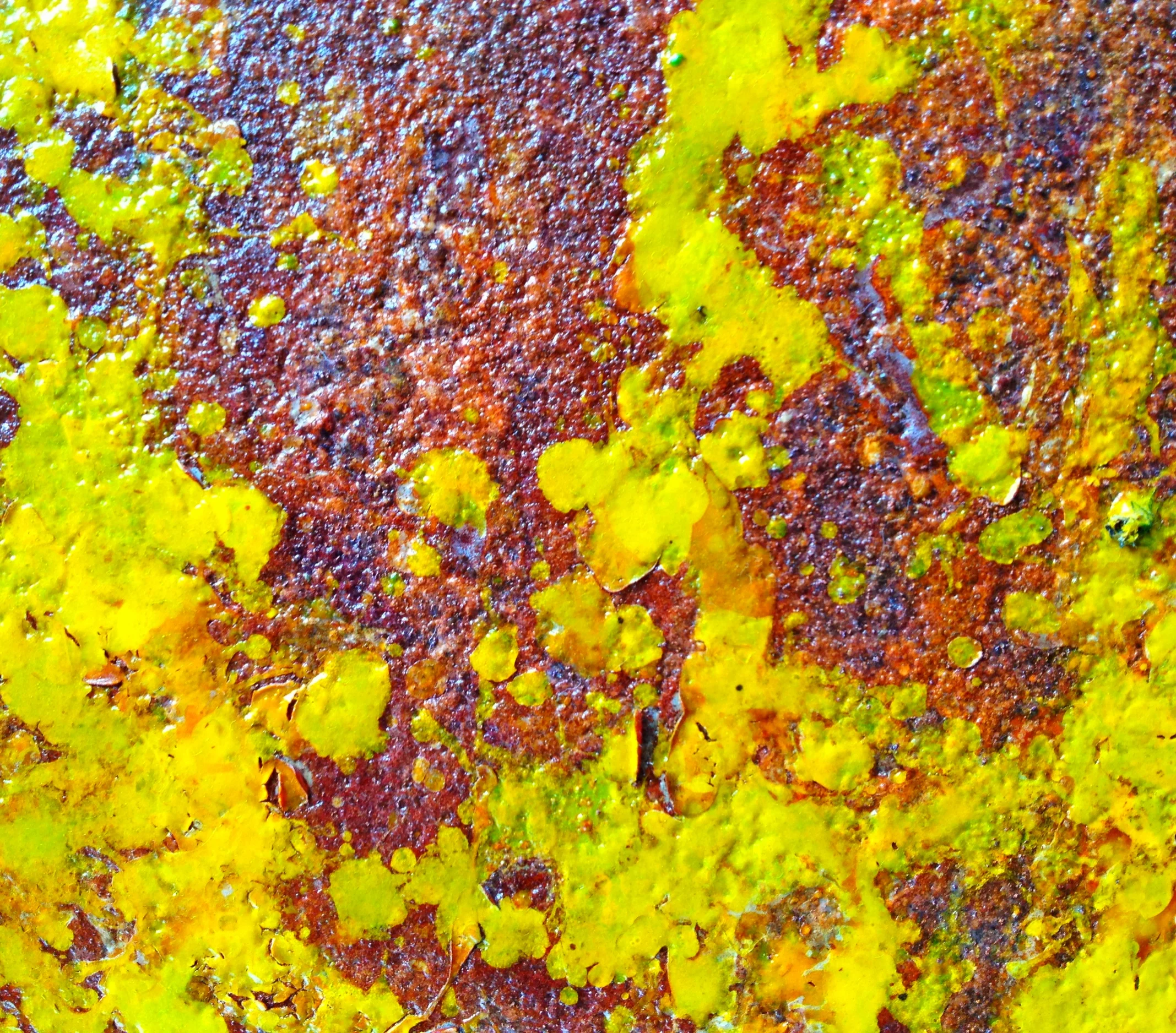 "capitulating canaries"