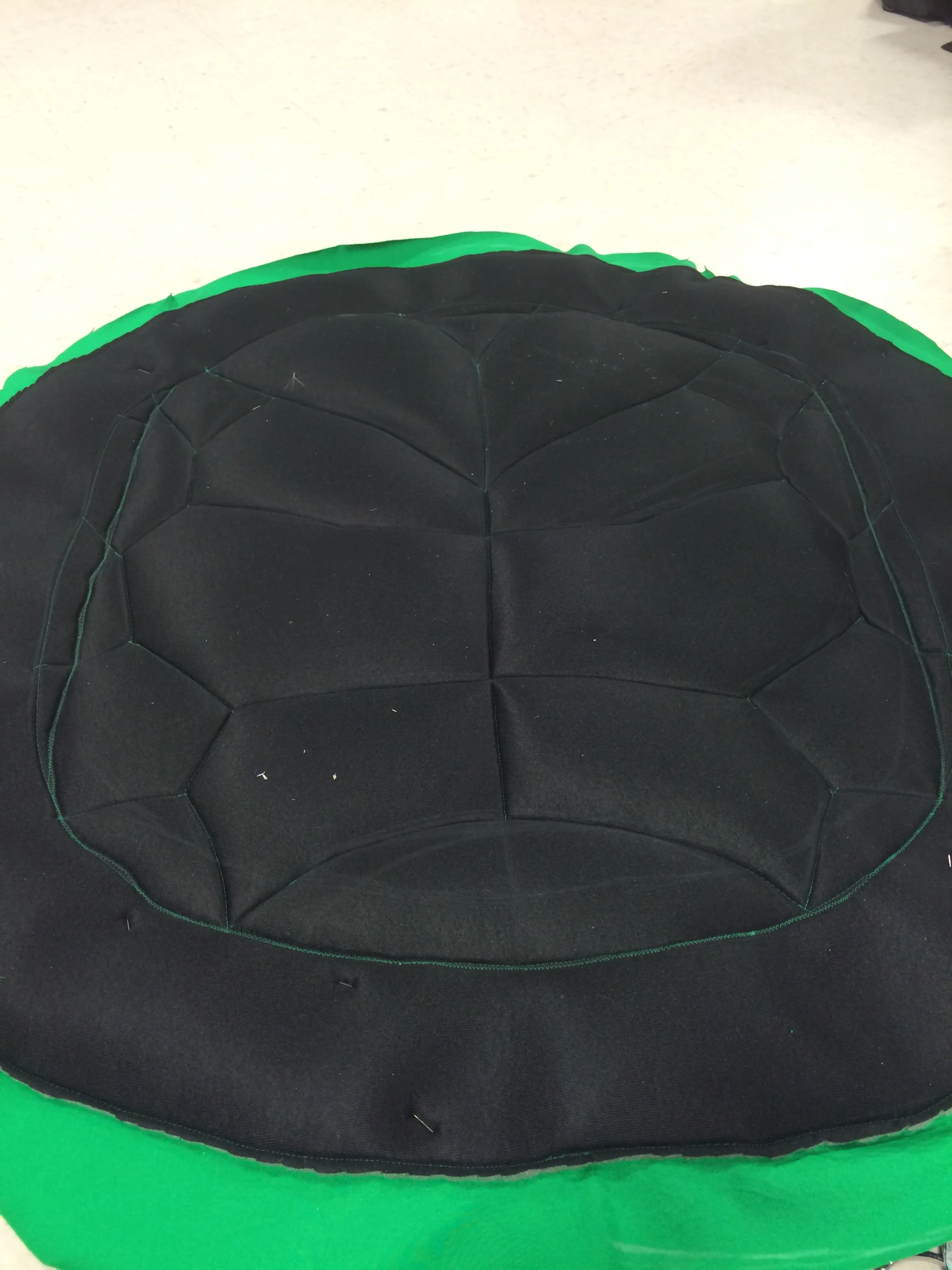 Turtle Shell Stomach