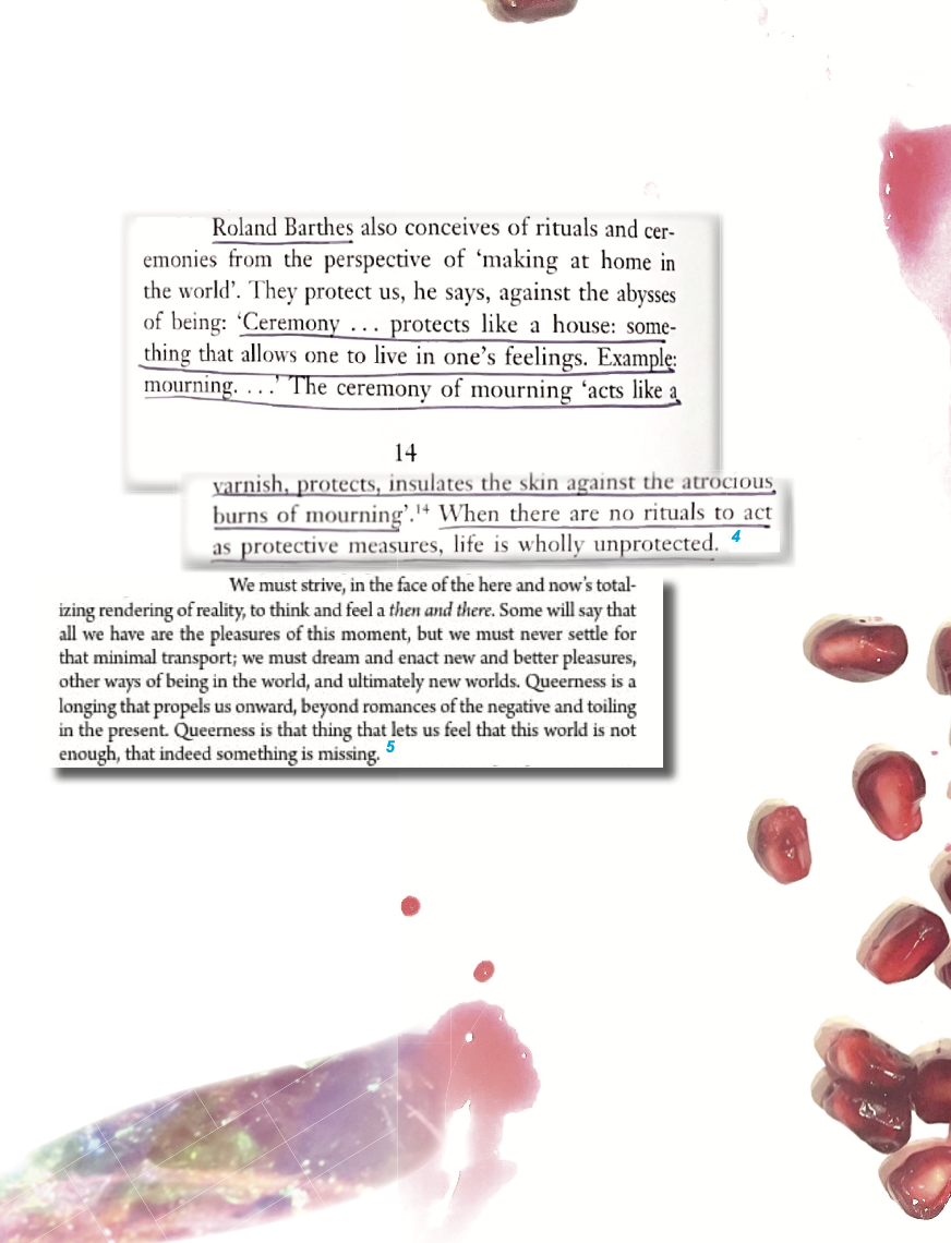 Screenshot 2024-09-19 at 11.19.30 AM.PNG