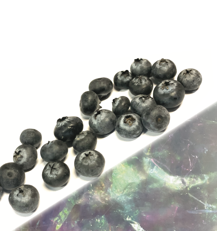 Screenshot 2024-09-19 at 11.19.42 AM.PNG