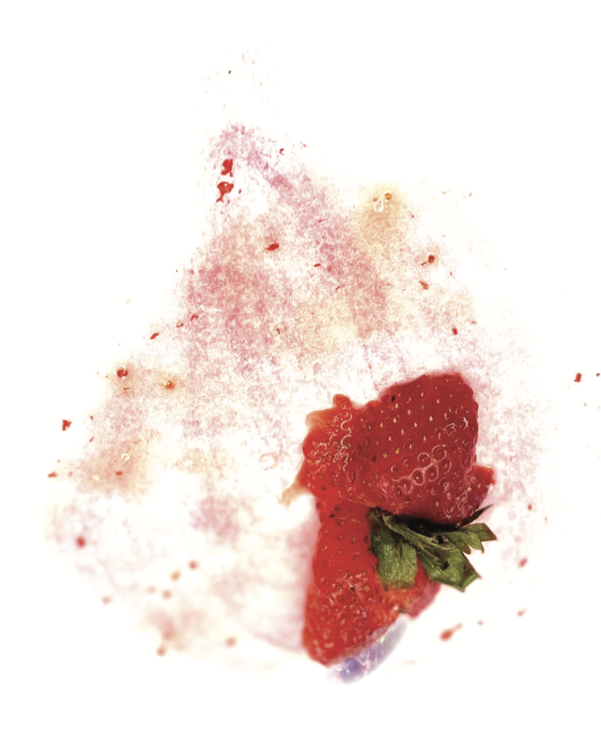 Screenshot 2024-09-19 at 11.19.52 AM.PNG