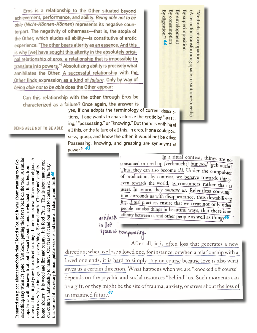 Screenshot 2024-09-19 at 11.21.53 AM.PNG