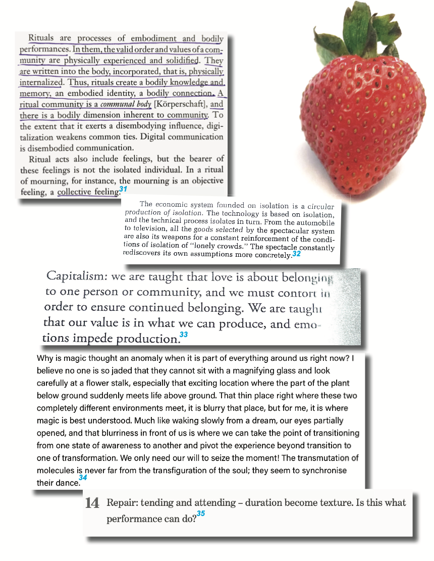 Screenshot 2024-09-19 at 11.21.35 AM.PNG