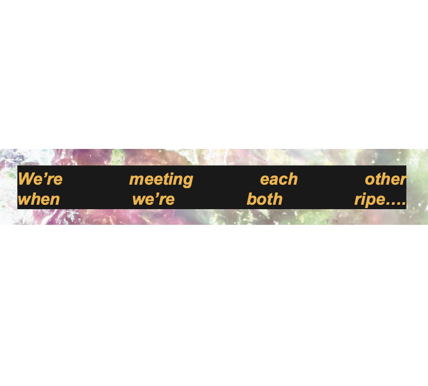 Screenshot 2024-09-19 at 11.20.45 AM.PNG