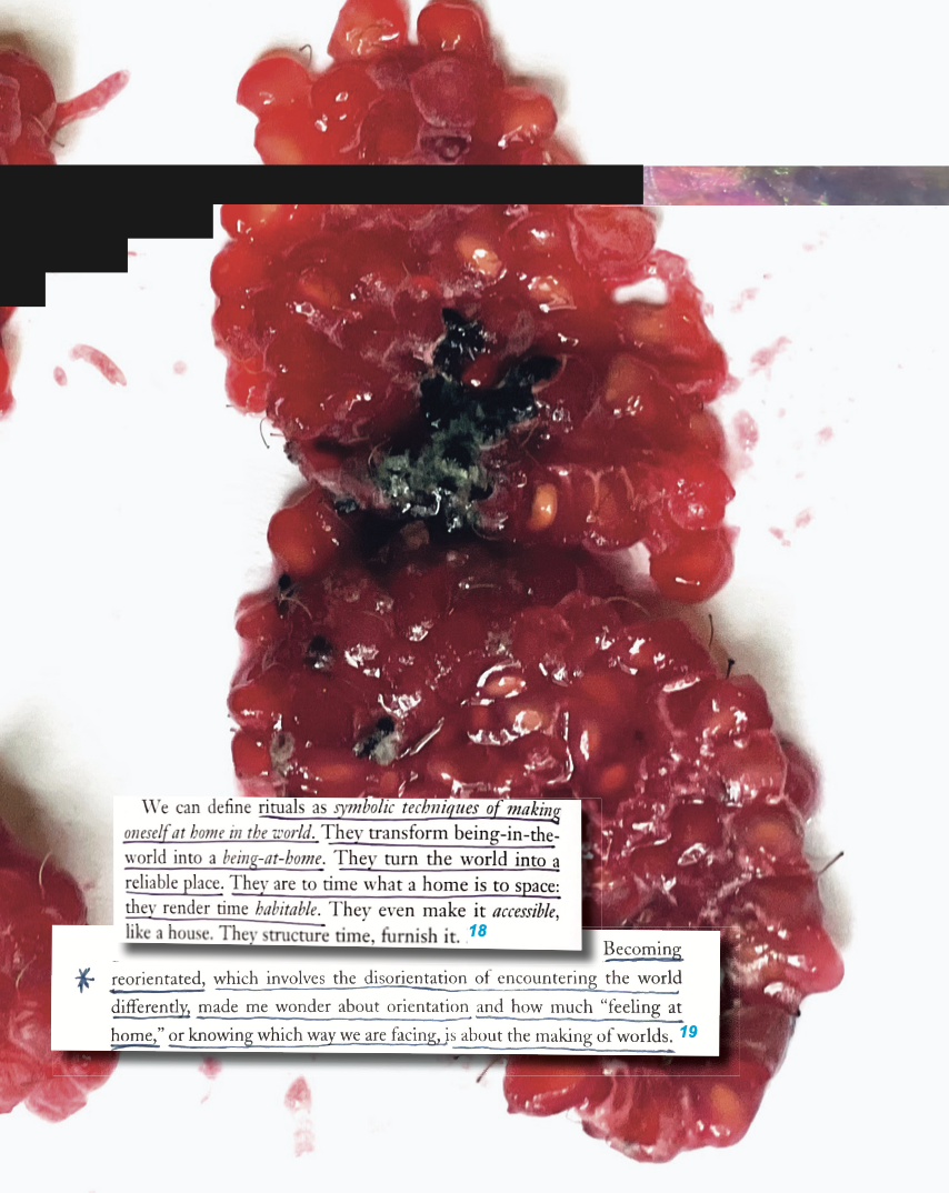 Screenshot 2024-09-19 at 11.21.10 AM.PNG