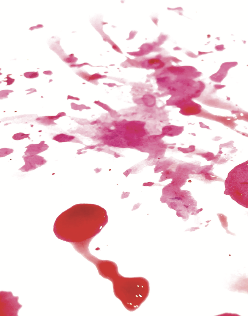 Screenshot 2024-09-19 at 11.20.35 AM.PNG