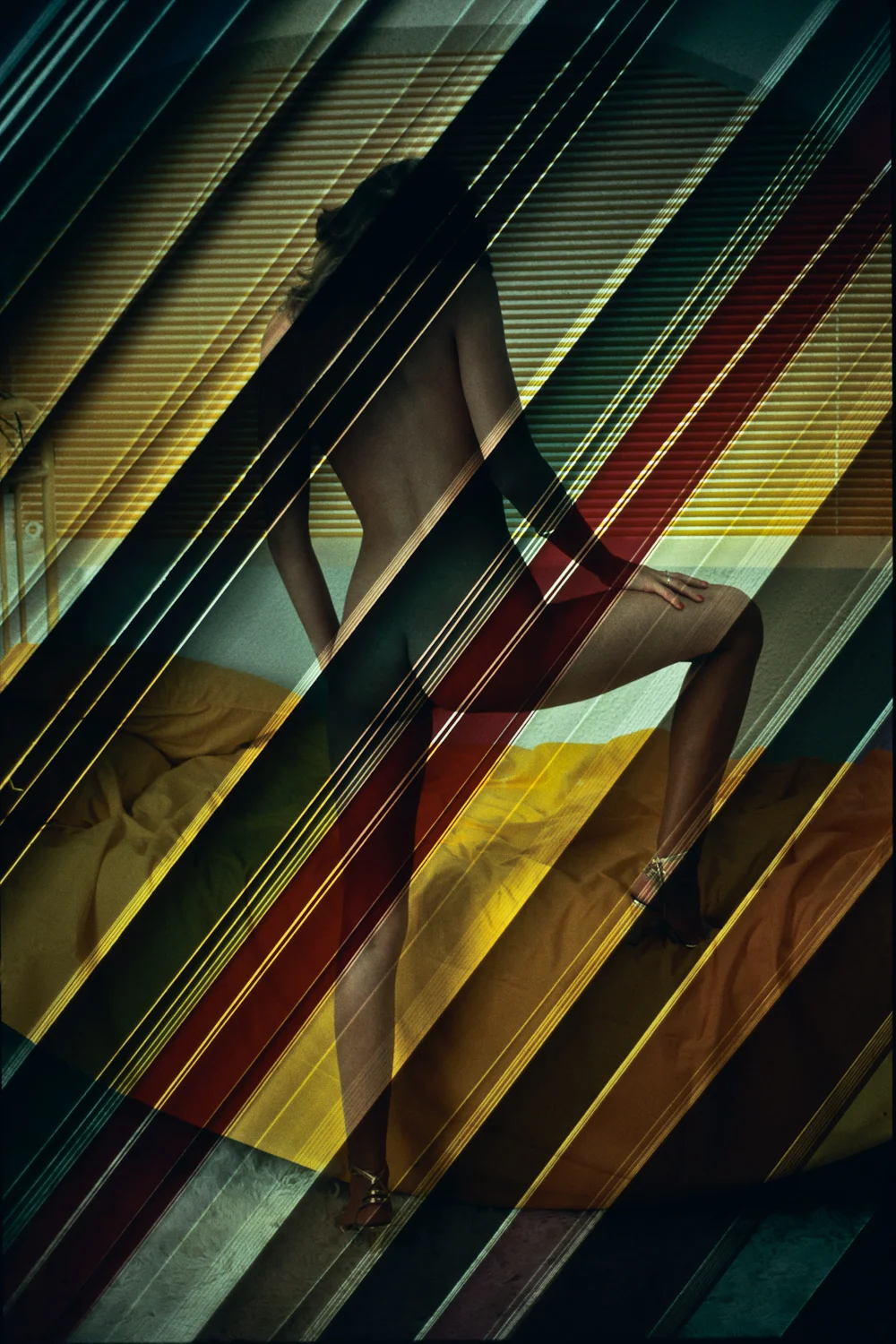 ANIMA.209