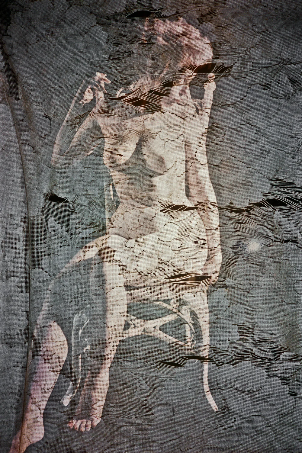 ANIMA.628
