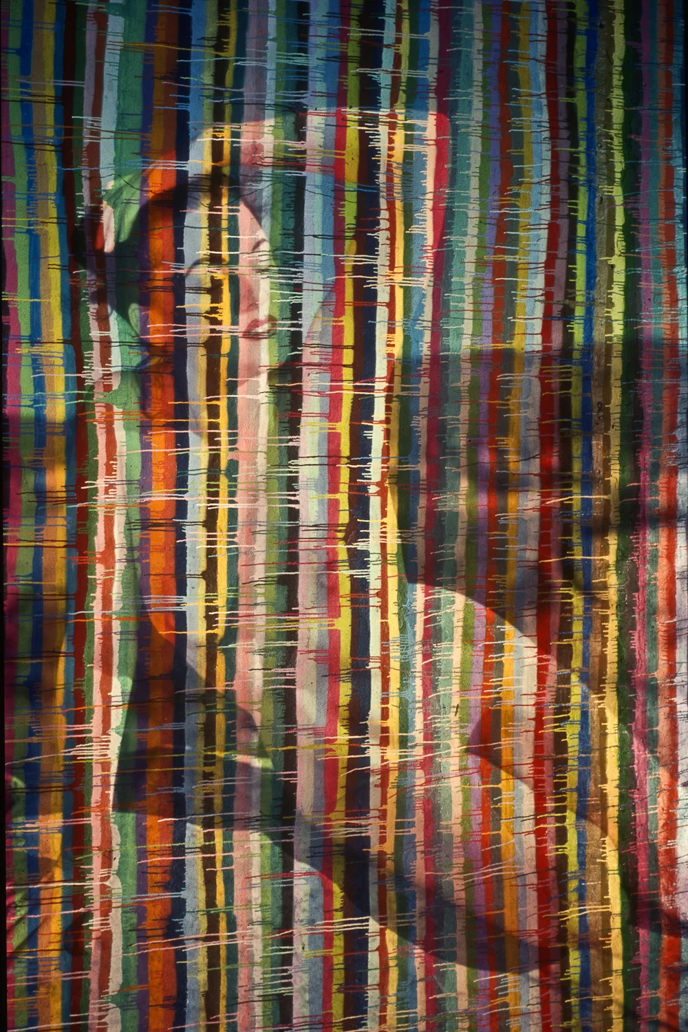 ANIMA.111