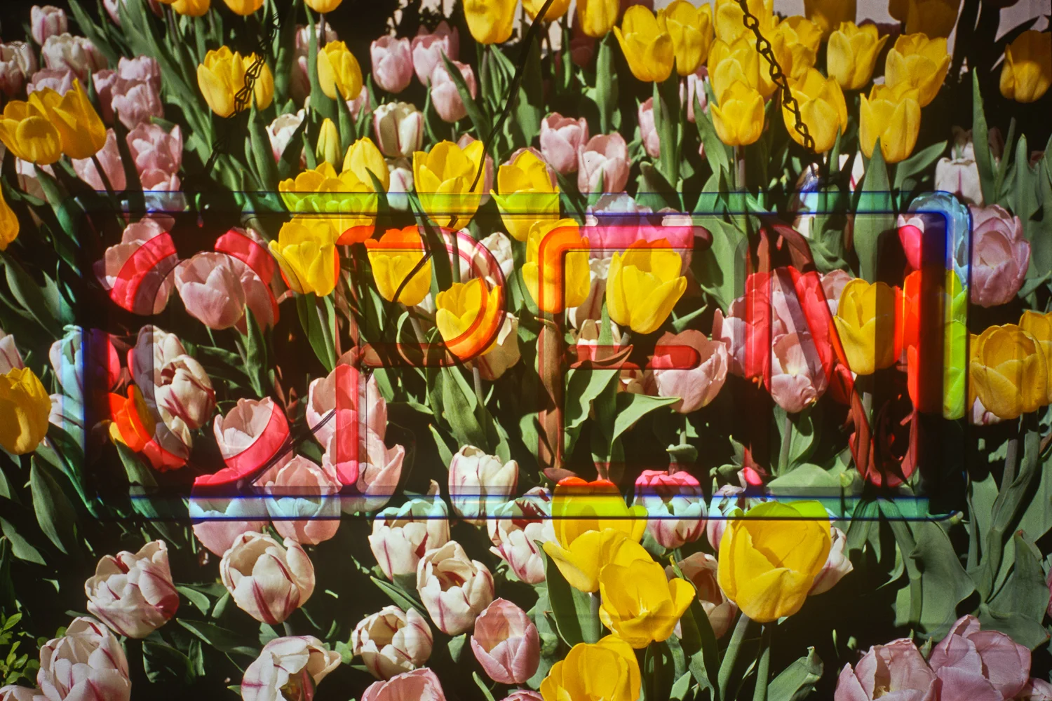 REMIX.005