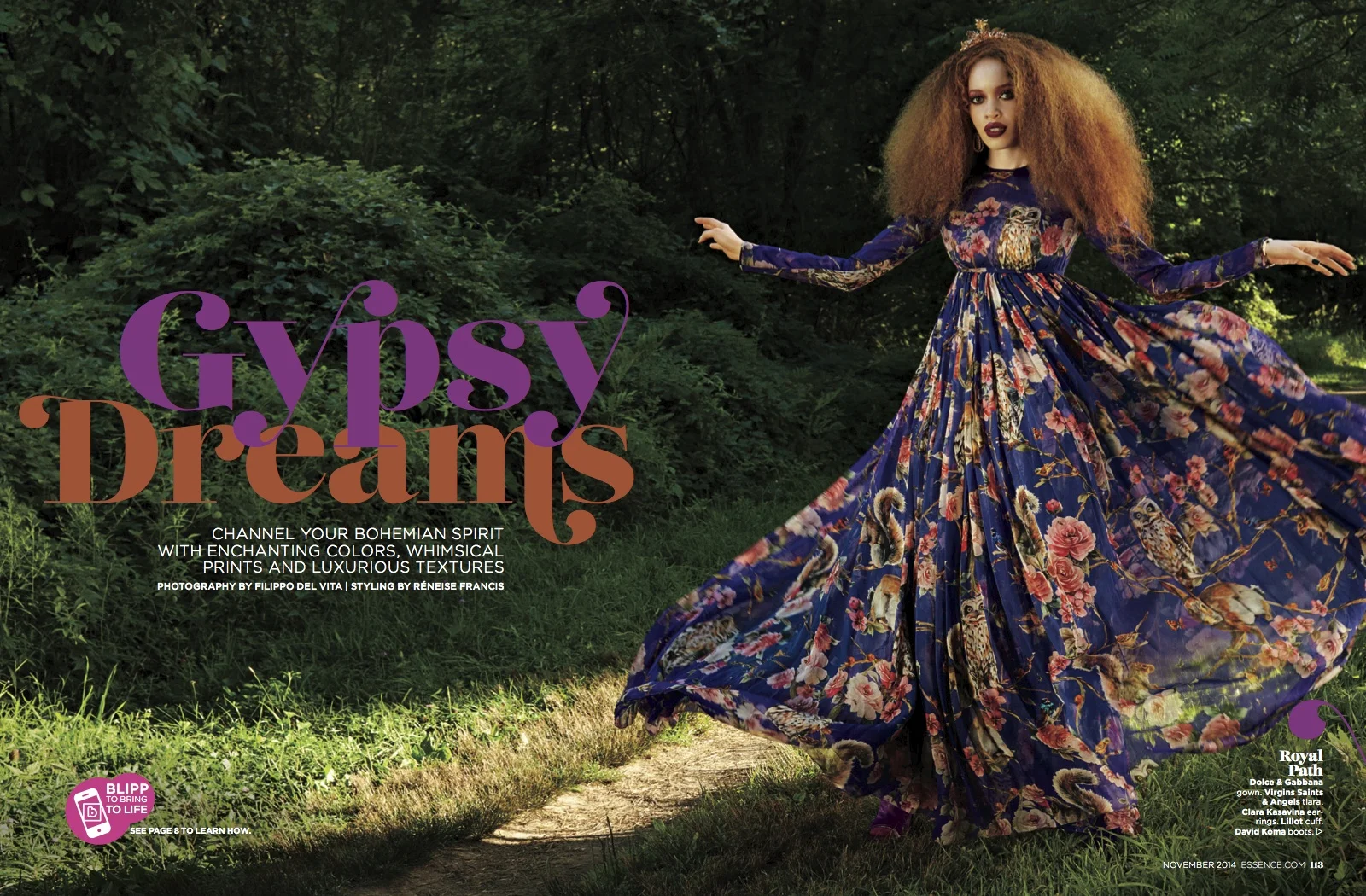 2014 NOV GYPSIE DREAMS 1.jpg