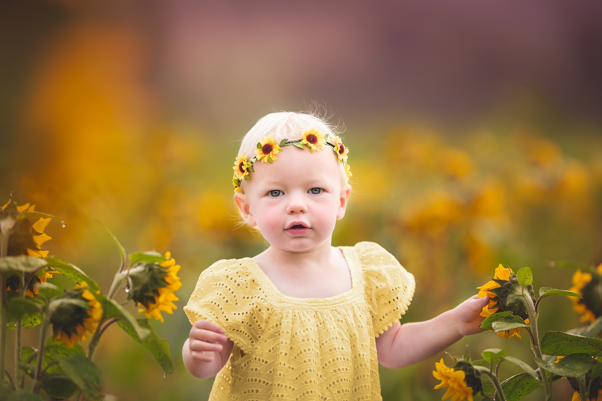 Eloise Sunflower-007-Edit.jpg