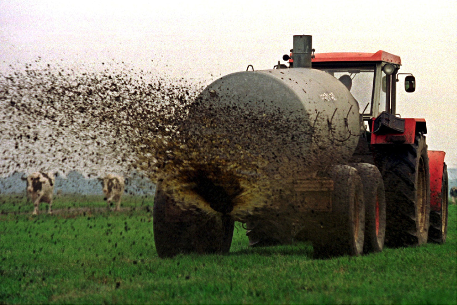 Manure is being brought out using a traditional deflector plate