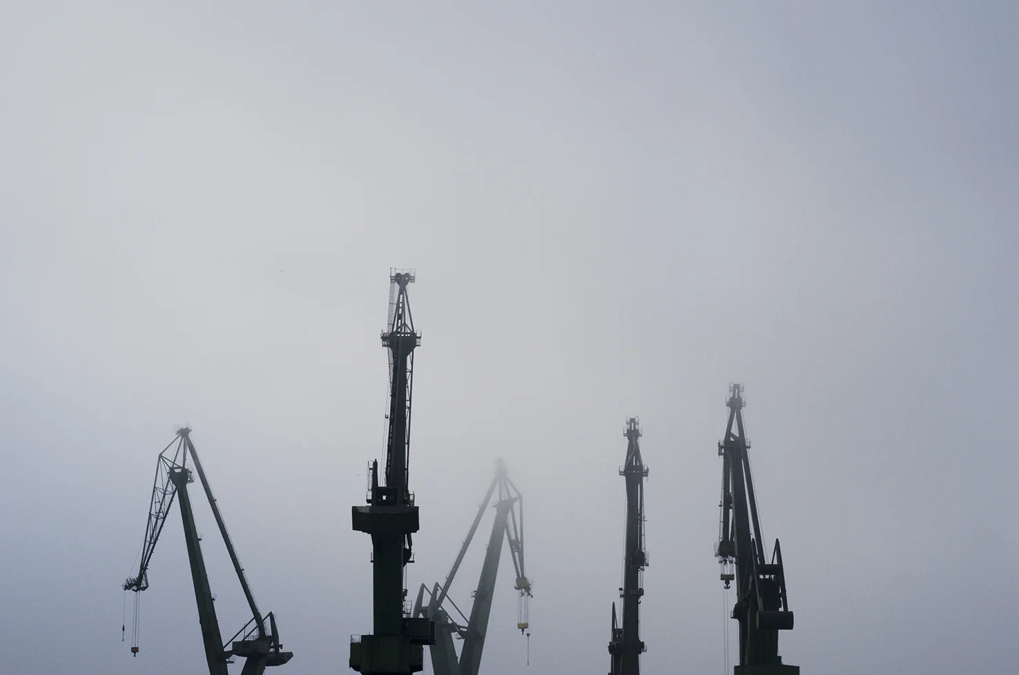 Five Cranes 2012 Pigment print on rag paper