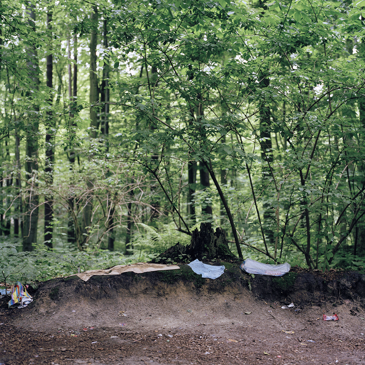 Traces 2012 Pigment print on rag paper 70cm x 70cm