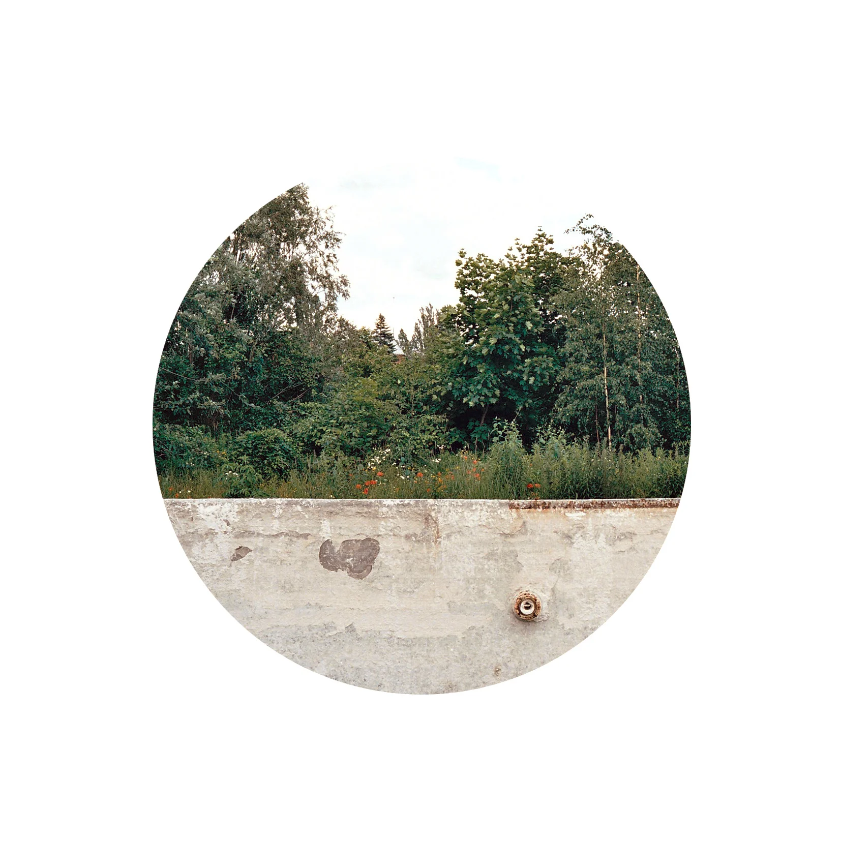 Poppies, former Gdansk Shipyard 2012 Inkjet print 22cm diameter