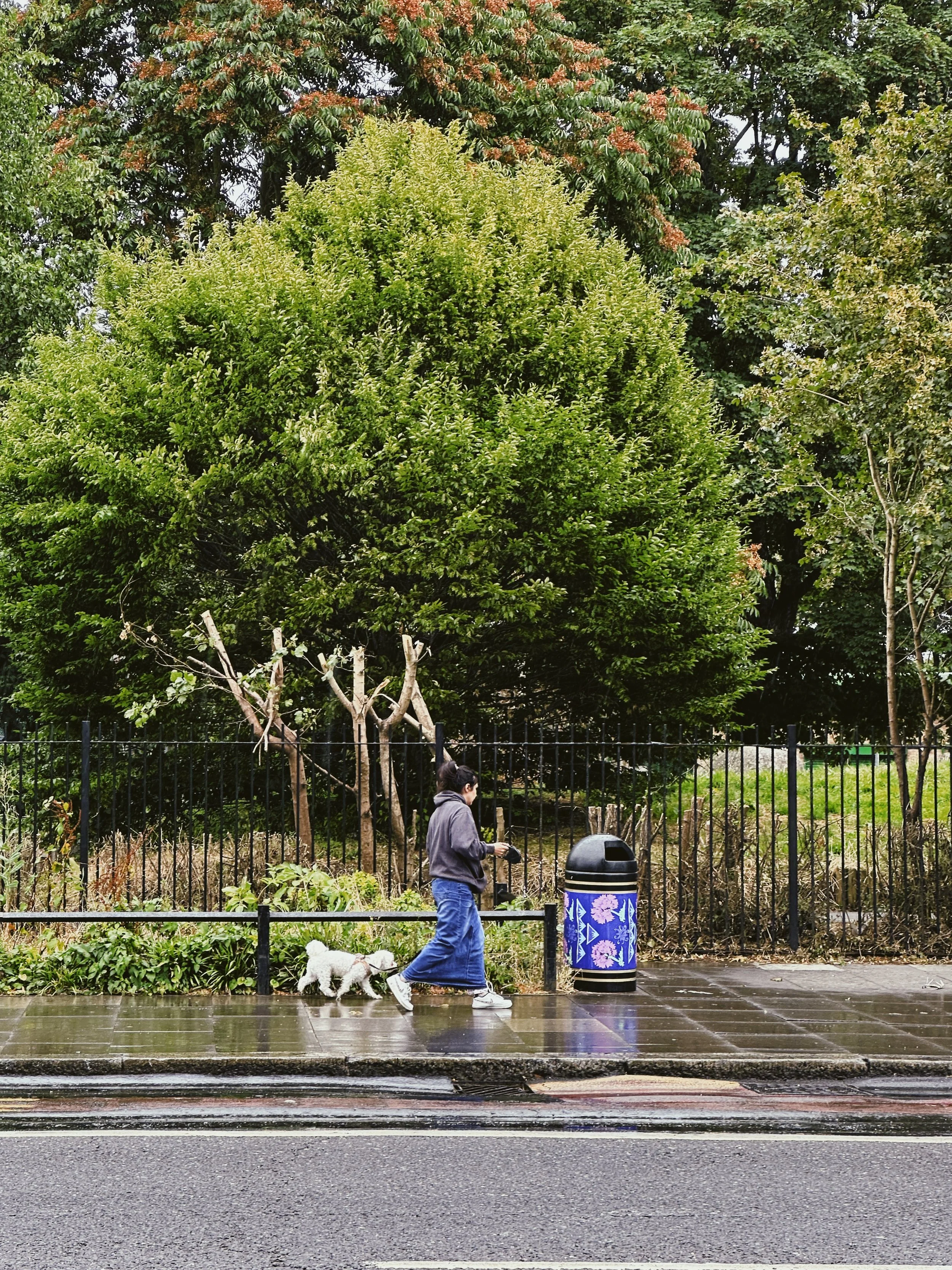 Fore Street Bins by Abi Ola.jpeg