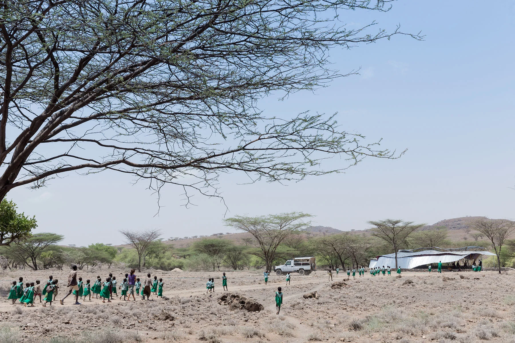 Konokono Turkana SCA 6209.jpg