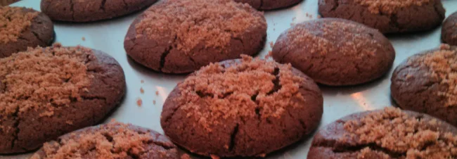 Mexican Hot Chocolate Snickerdoodles