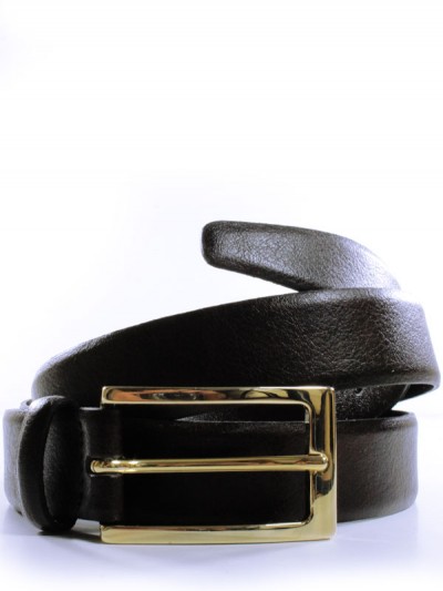 Dark brown belt with a gold buckle