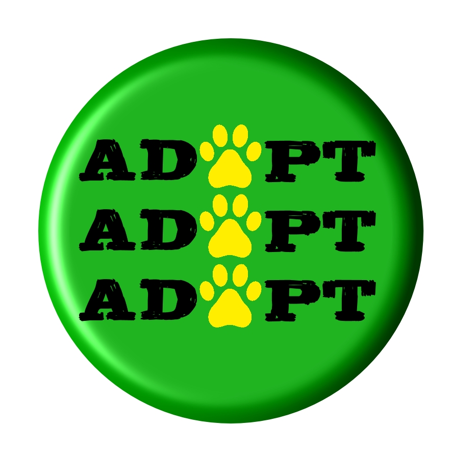 Badge encouraging the adopting pets