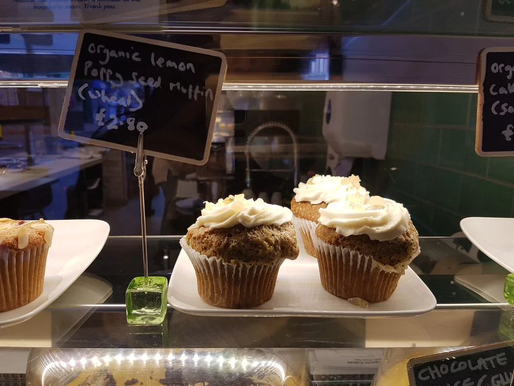 2017-01-14 13.59.25.jpg