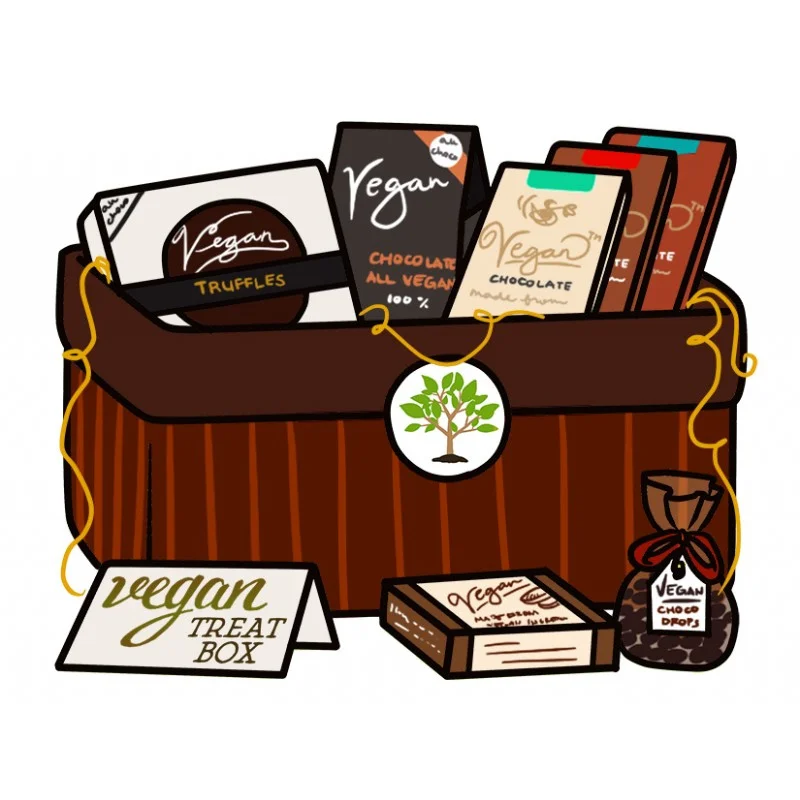 vegan treat box.jpg