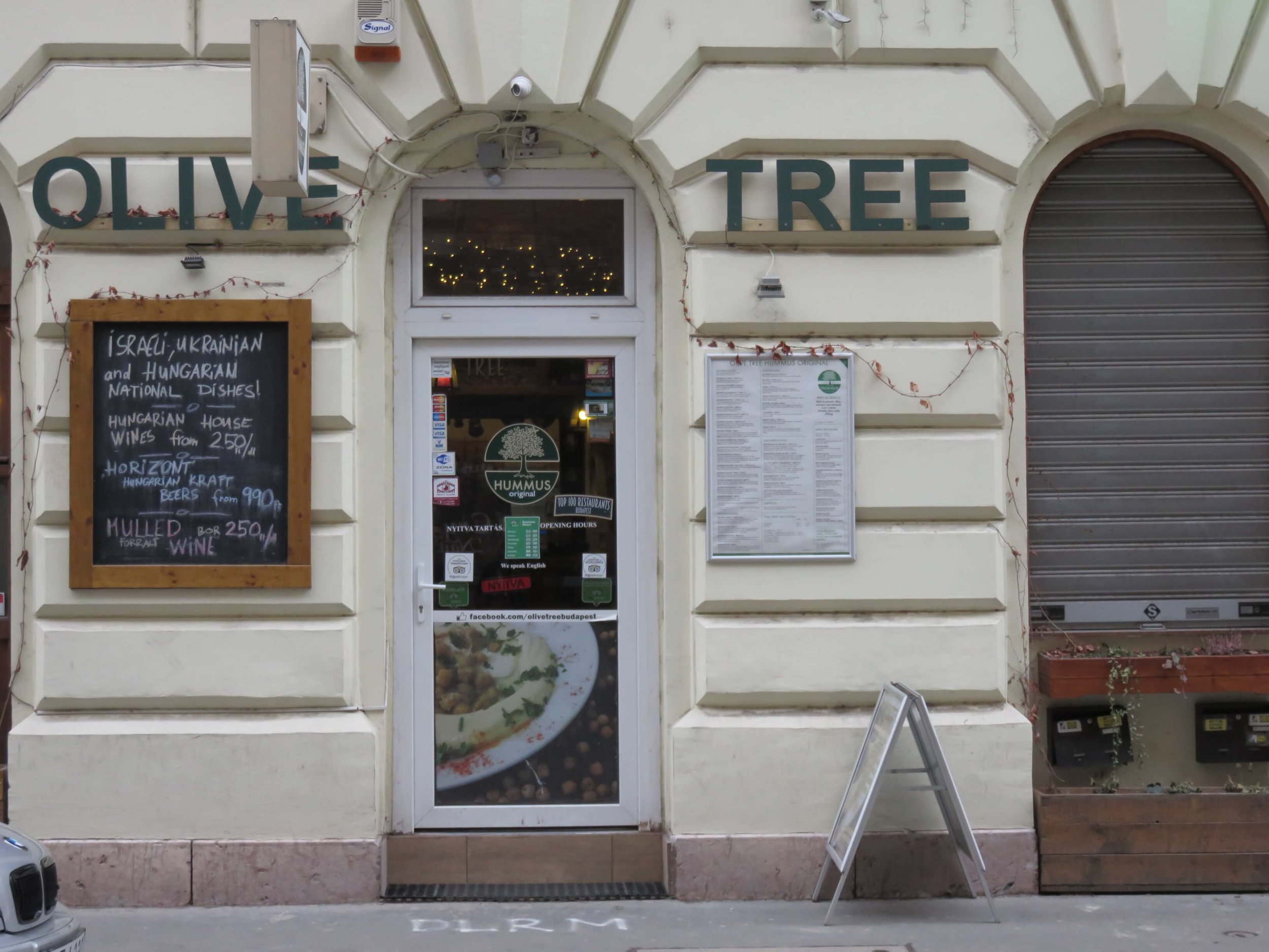 14. Olive Tree.JPG