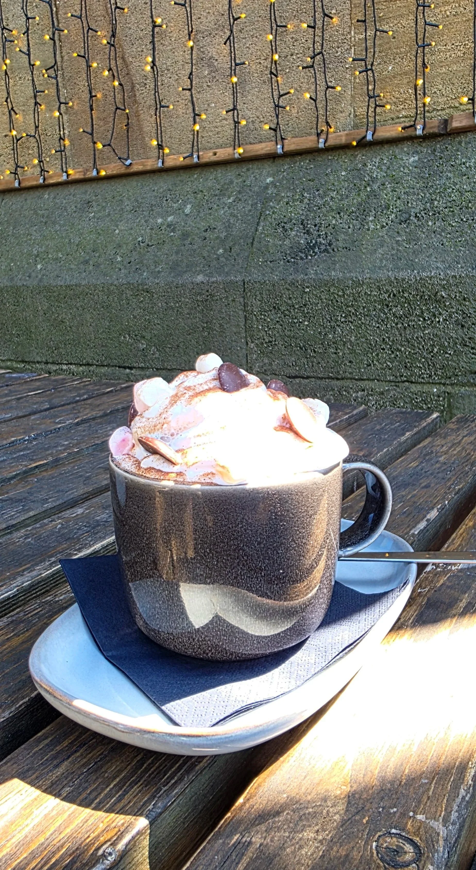 Vegan hot chocolate at Sophie's