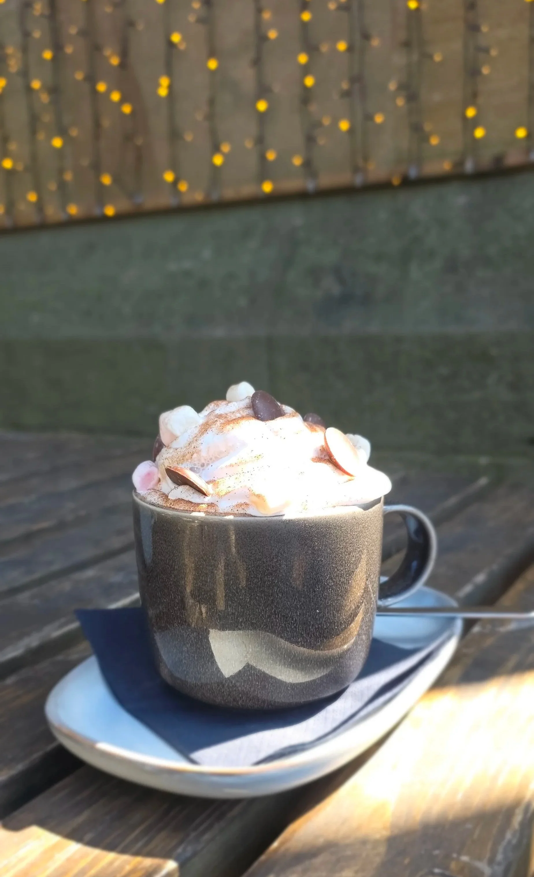 Vegan hot chocolate at Sophie's