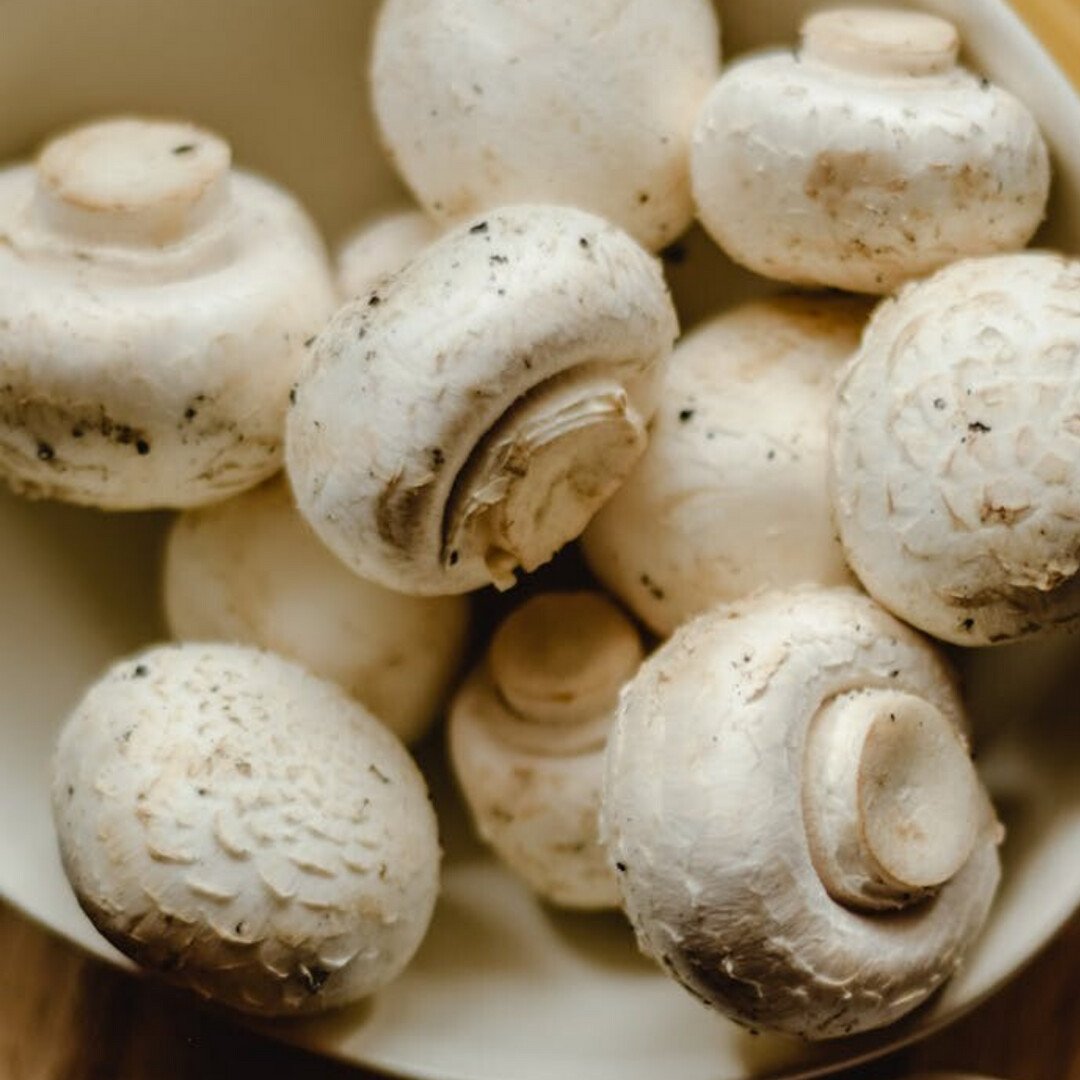 Vegan mushroom sauce