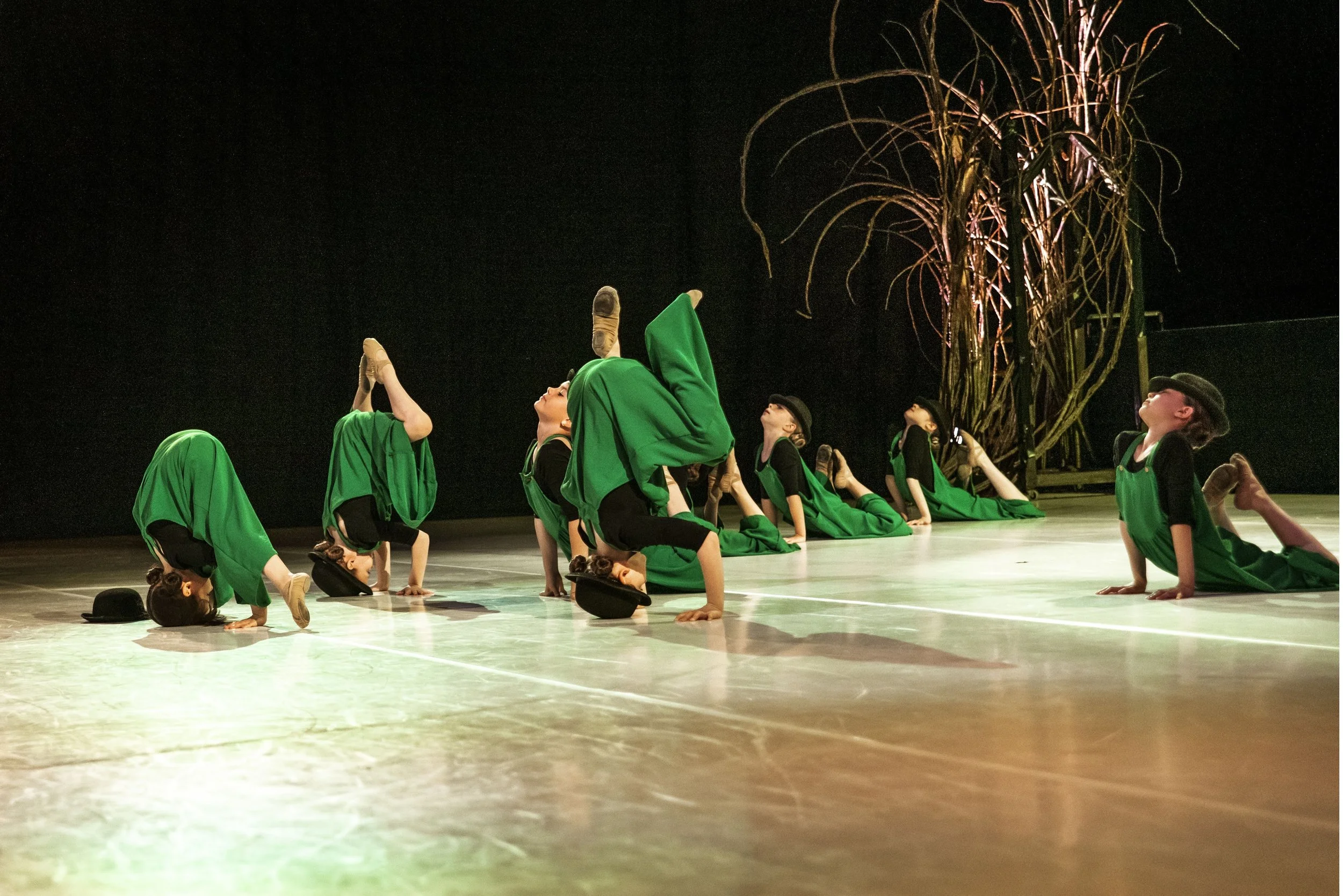 DSC_0876 kopia_Original.jpg