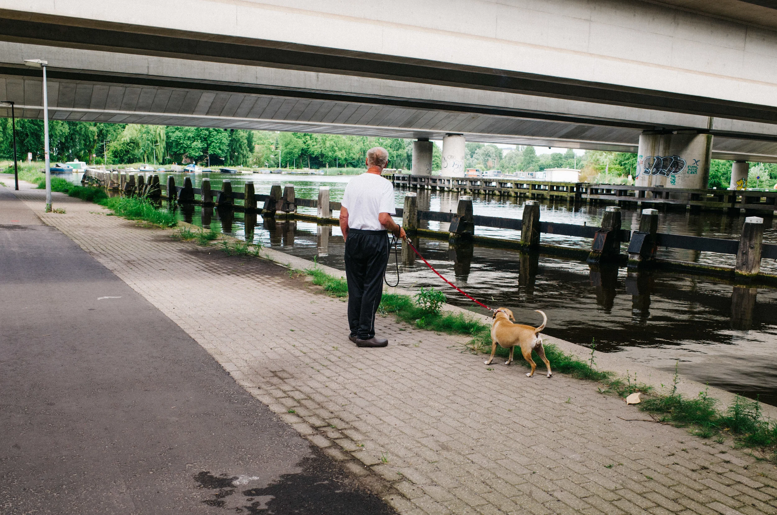 Ricoh_Test_400.jpg