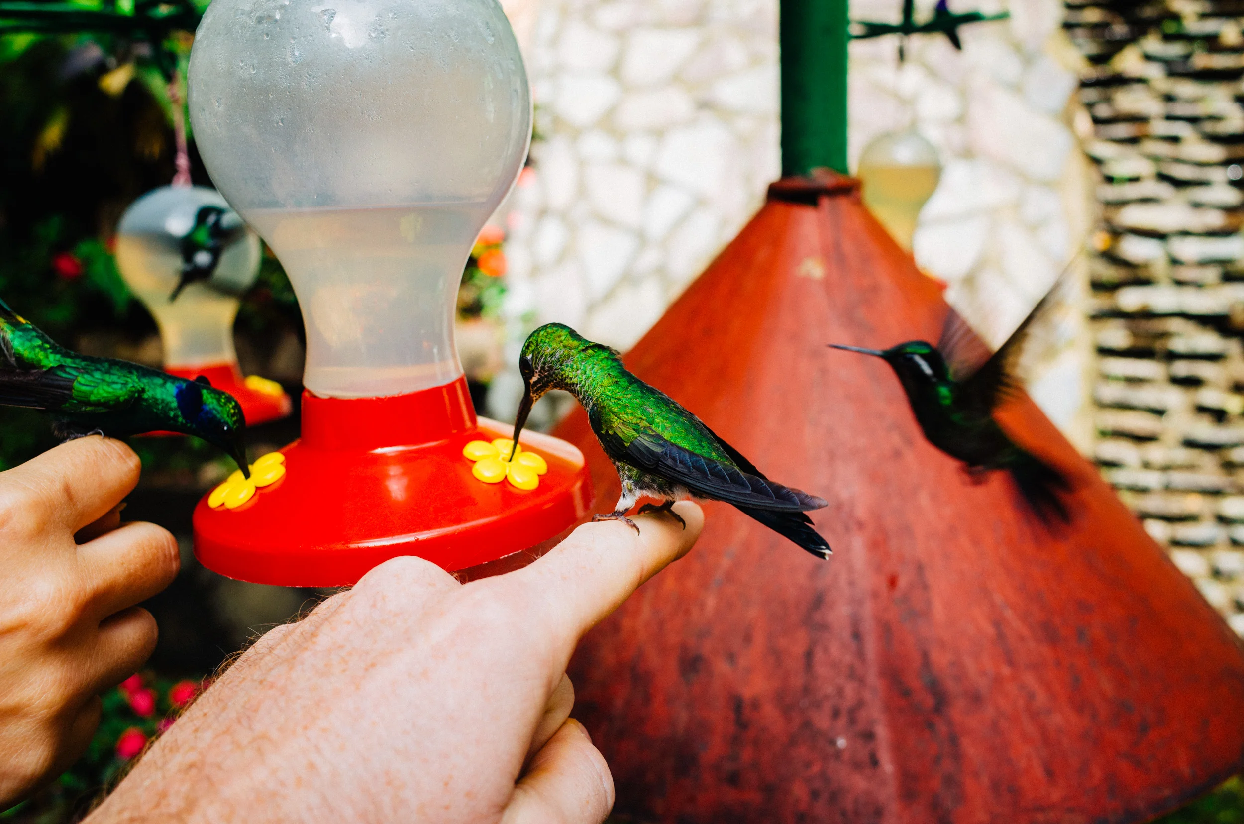 costa_rica164.jpg