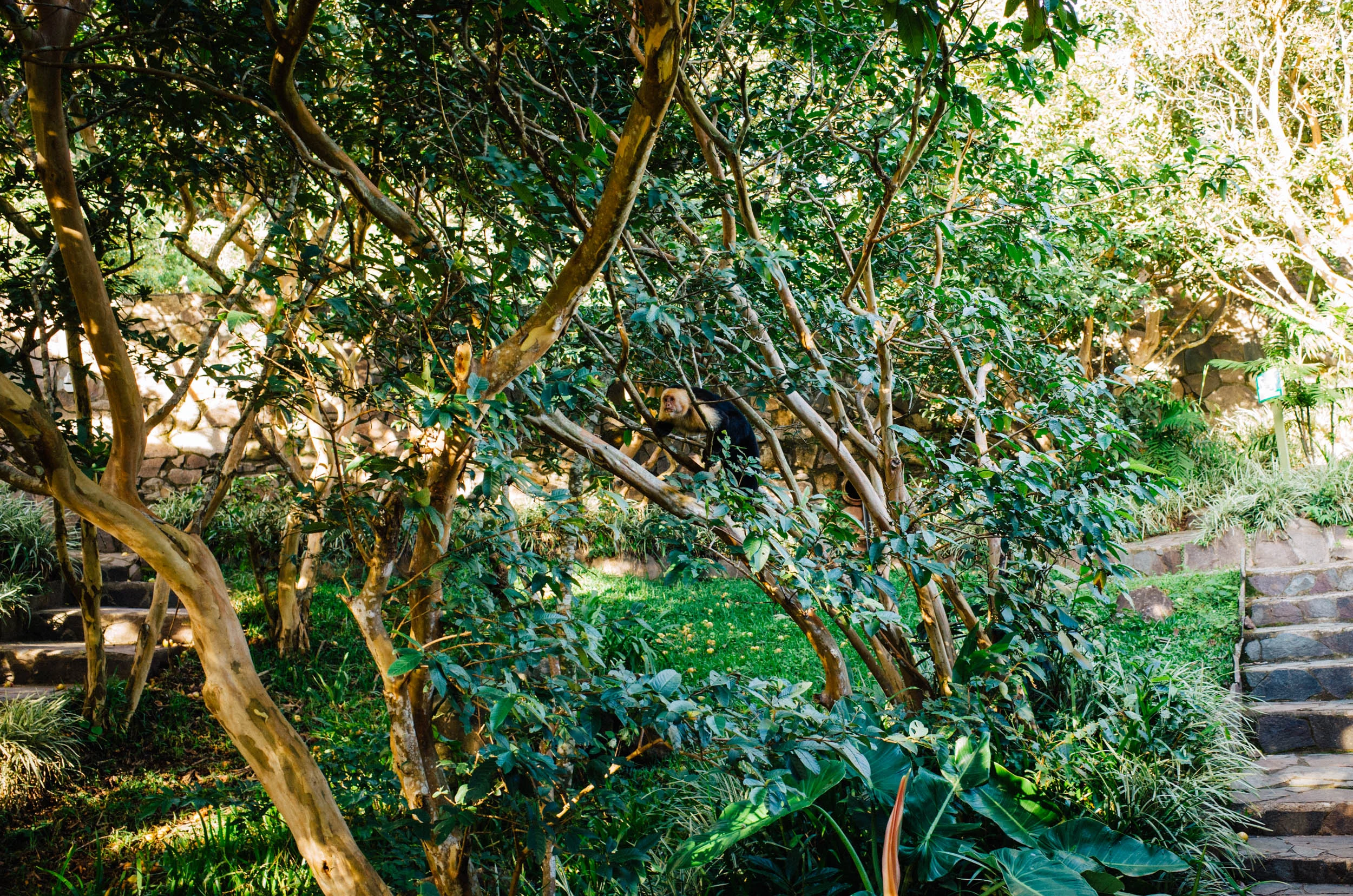 costa_rica167.jpg