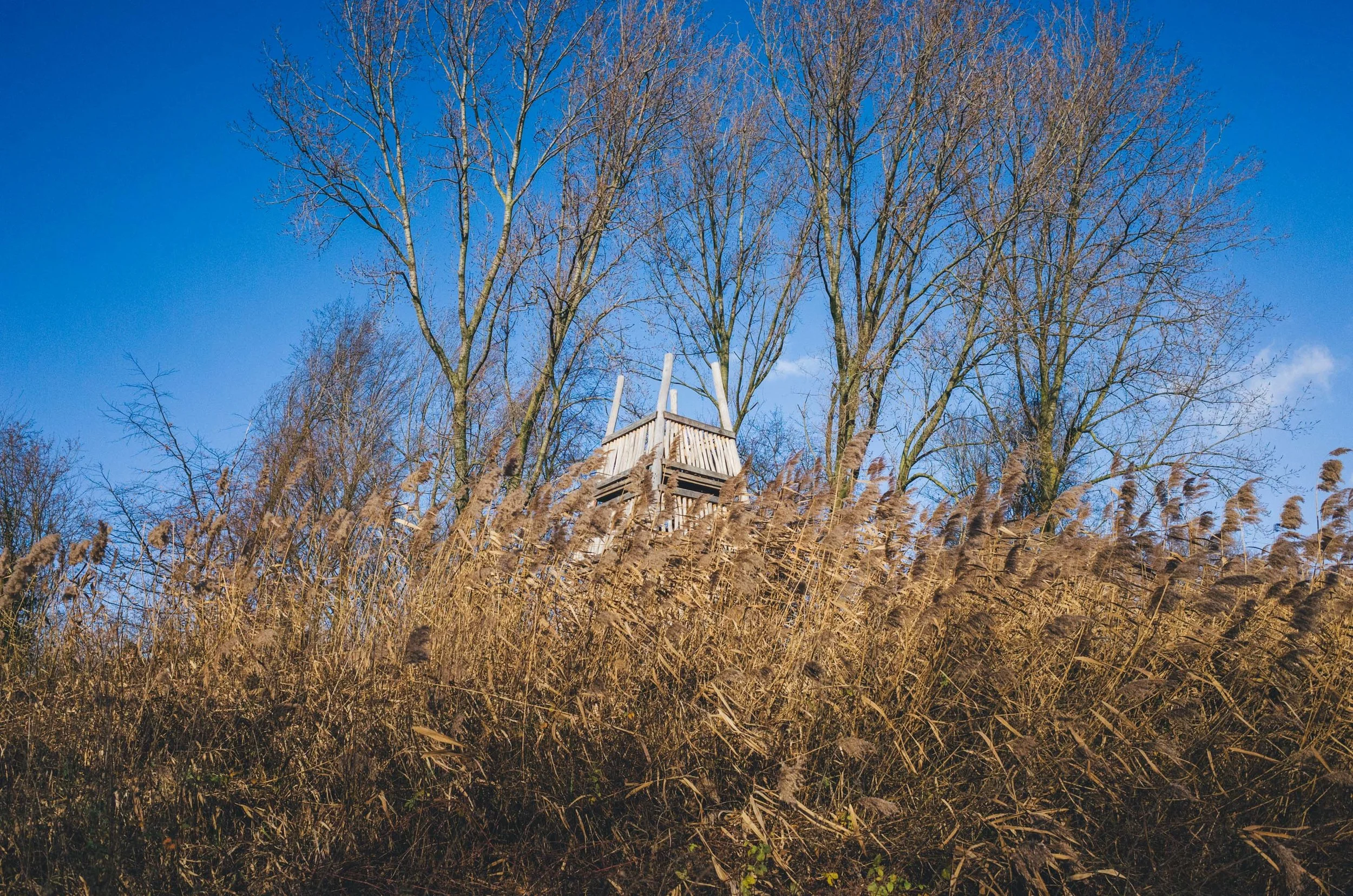 Ricoh_Test_534.jpg