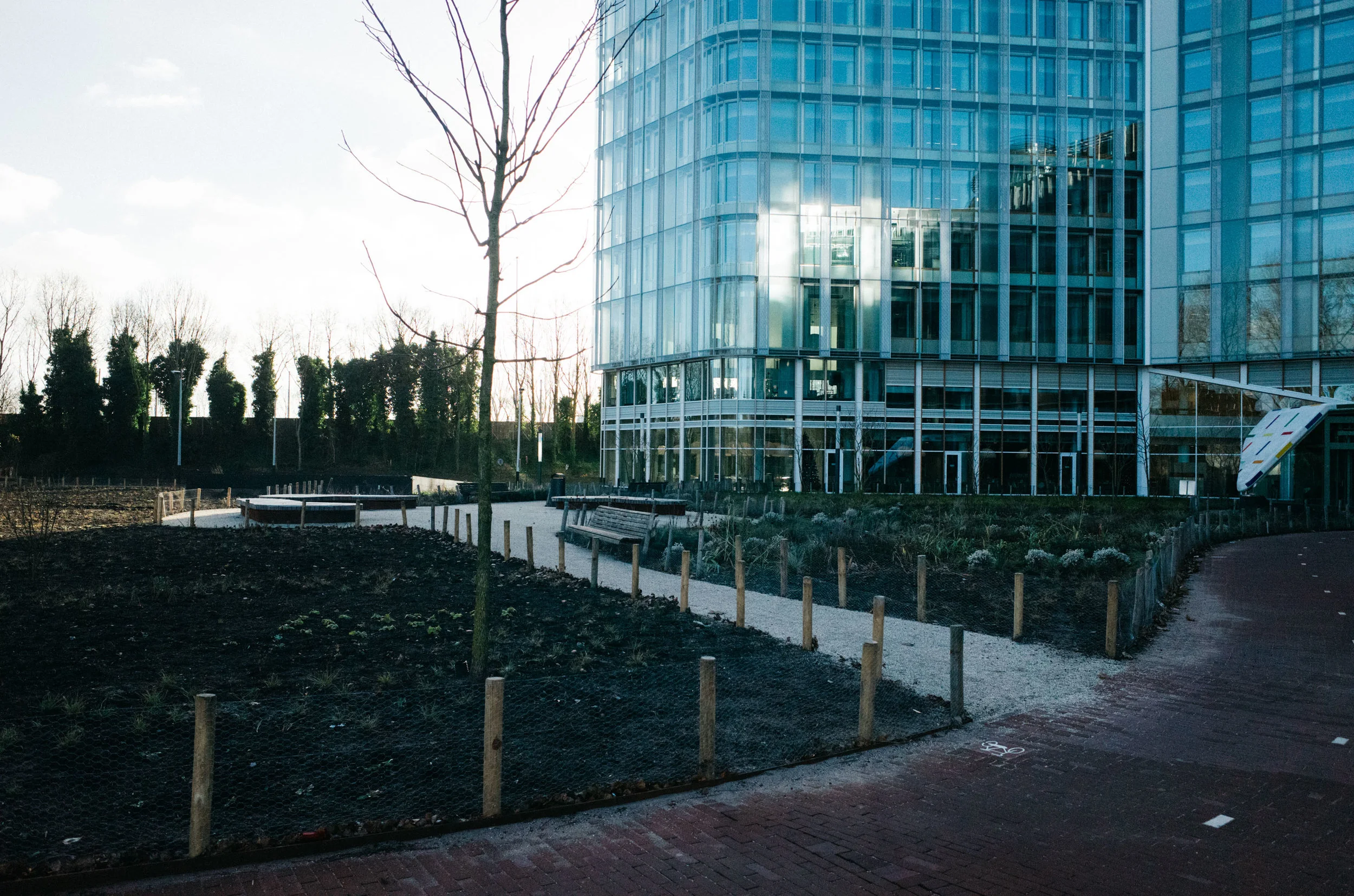 Ricoh_Test_536.jpg