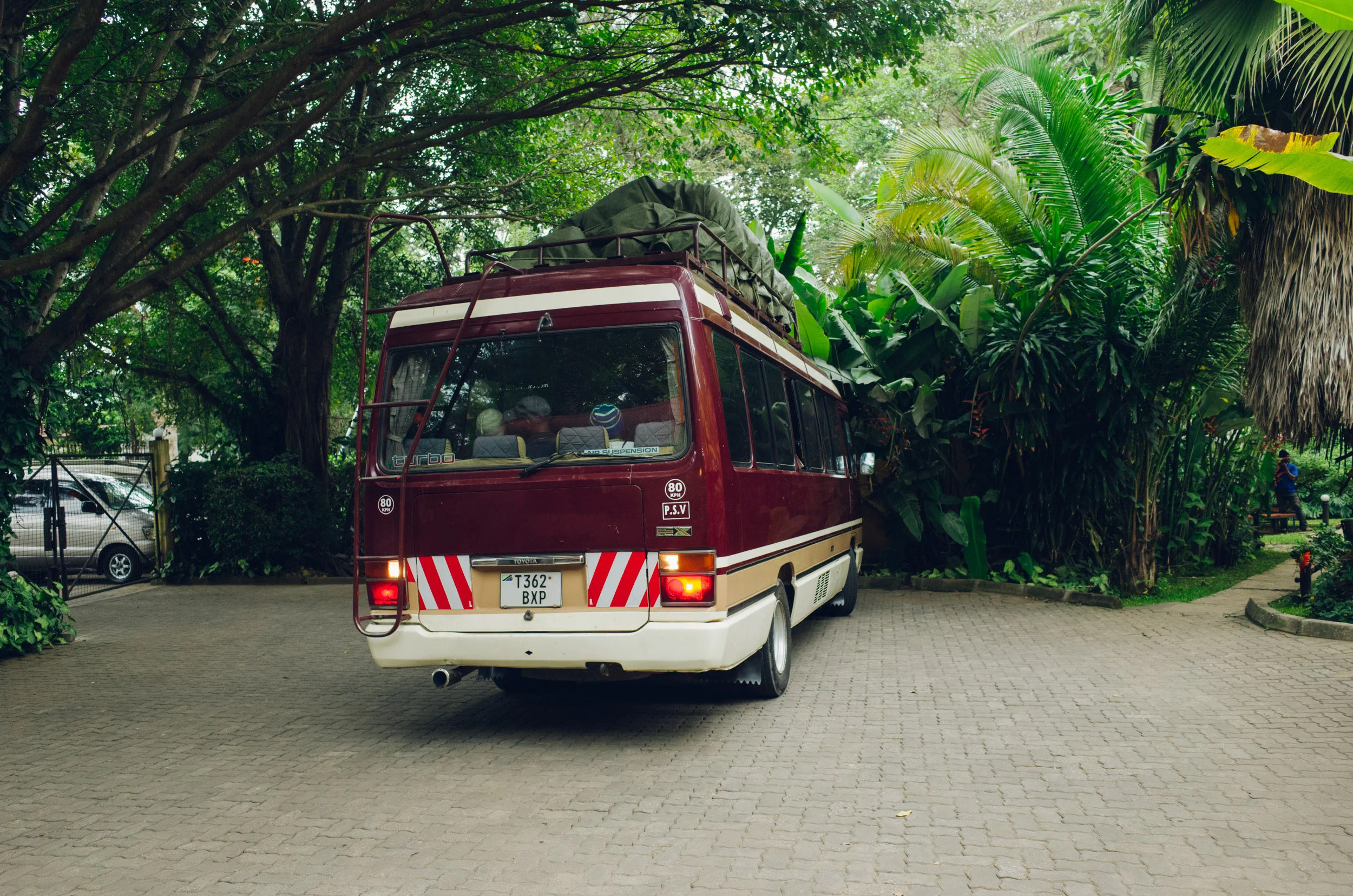 kilimanjaro_009.jpg