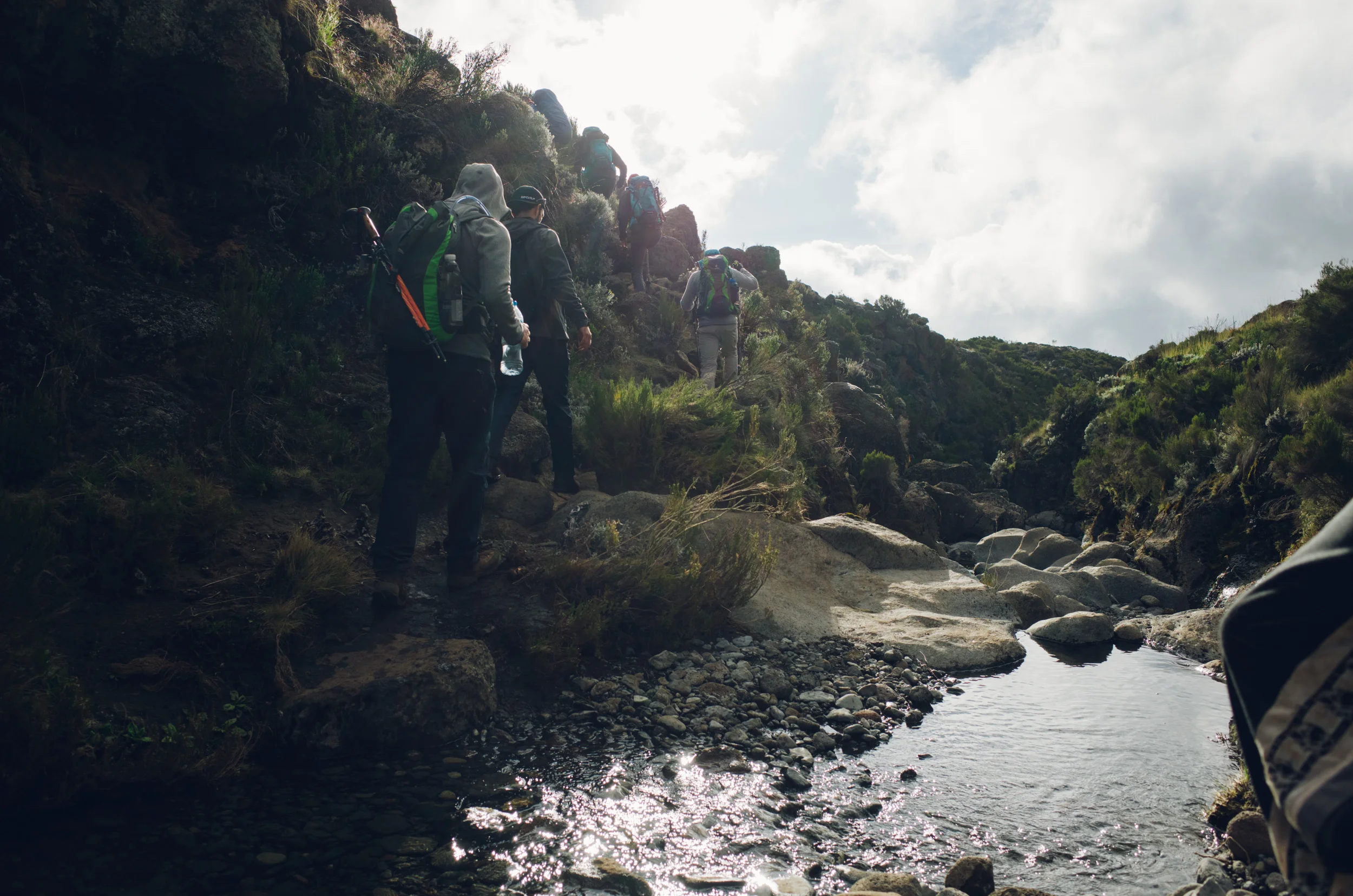 kilimanjaro_050.jpg
