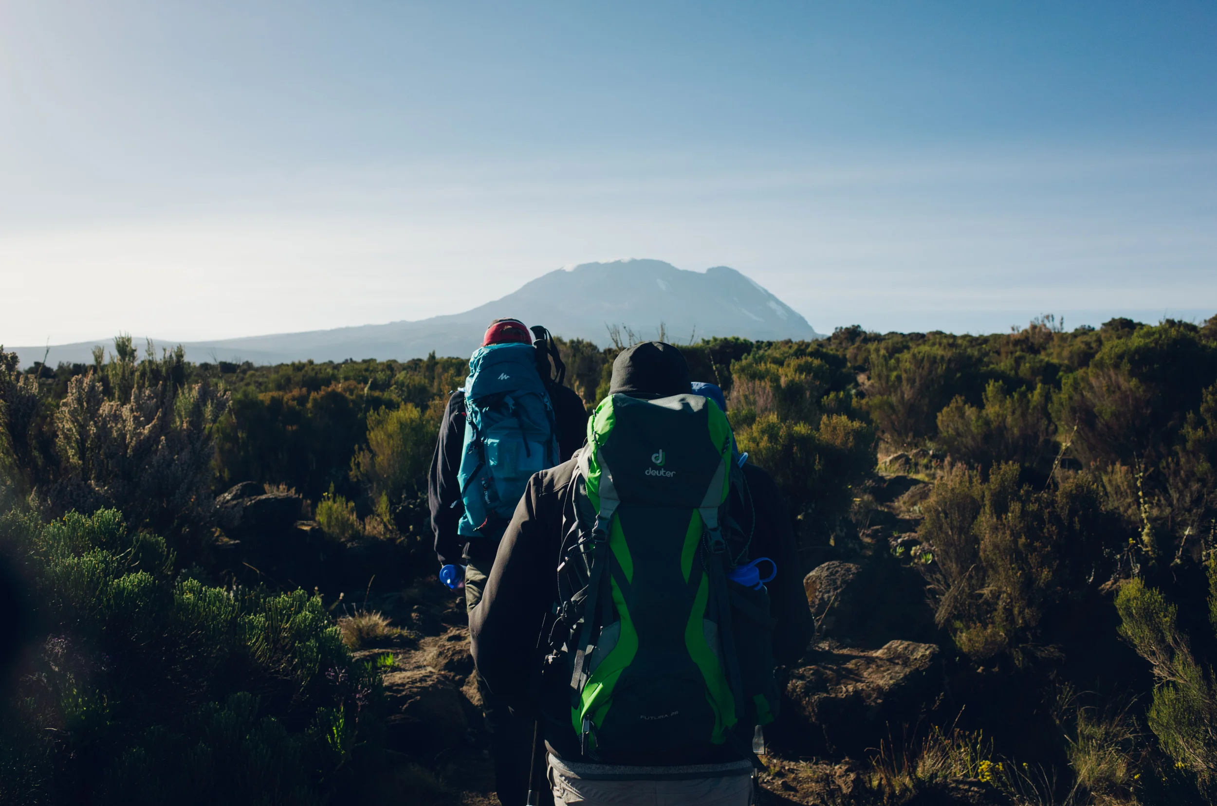 kilimanjaro_068.jpg