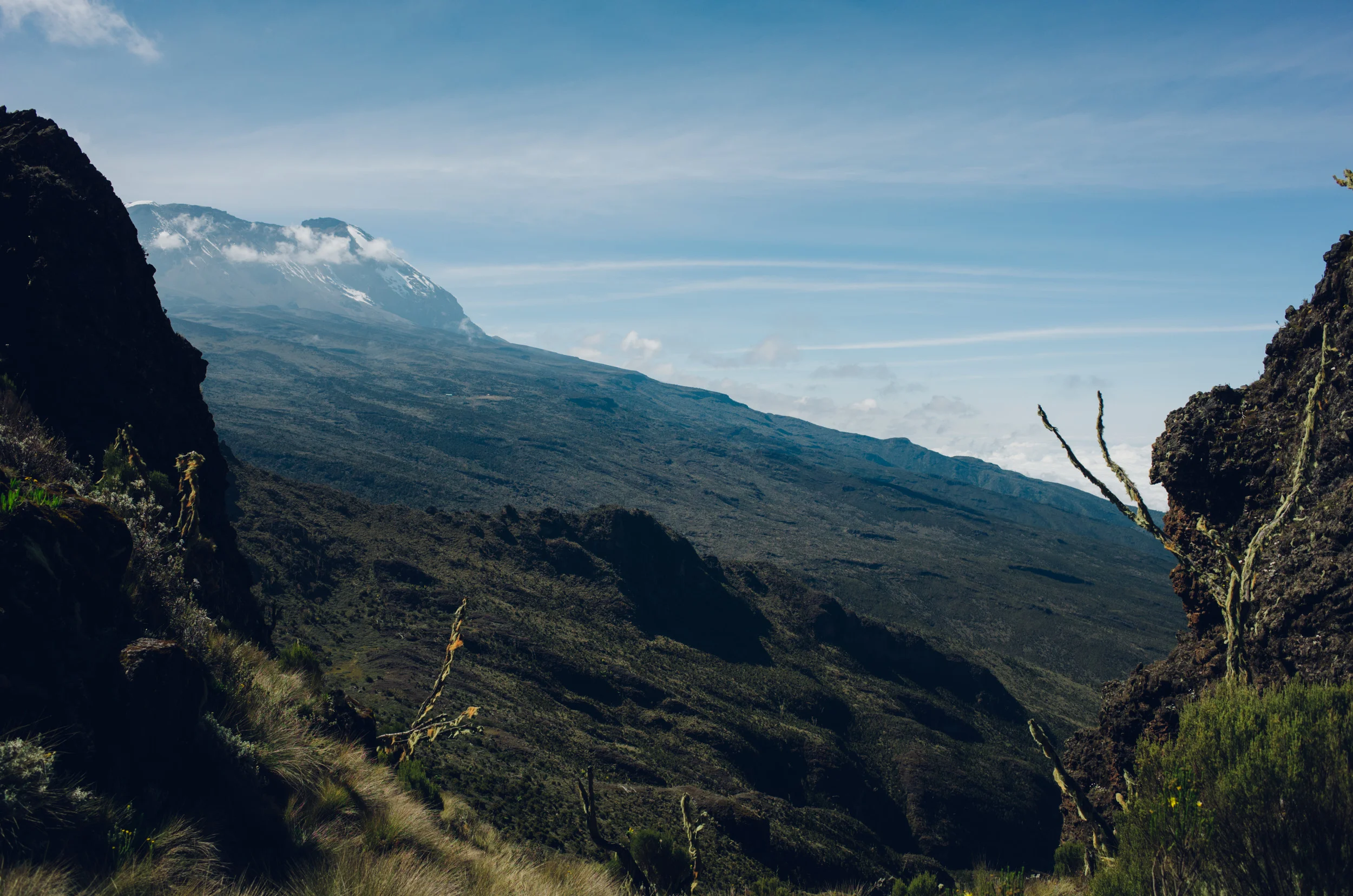kilimanjaro_075.jpg