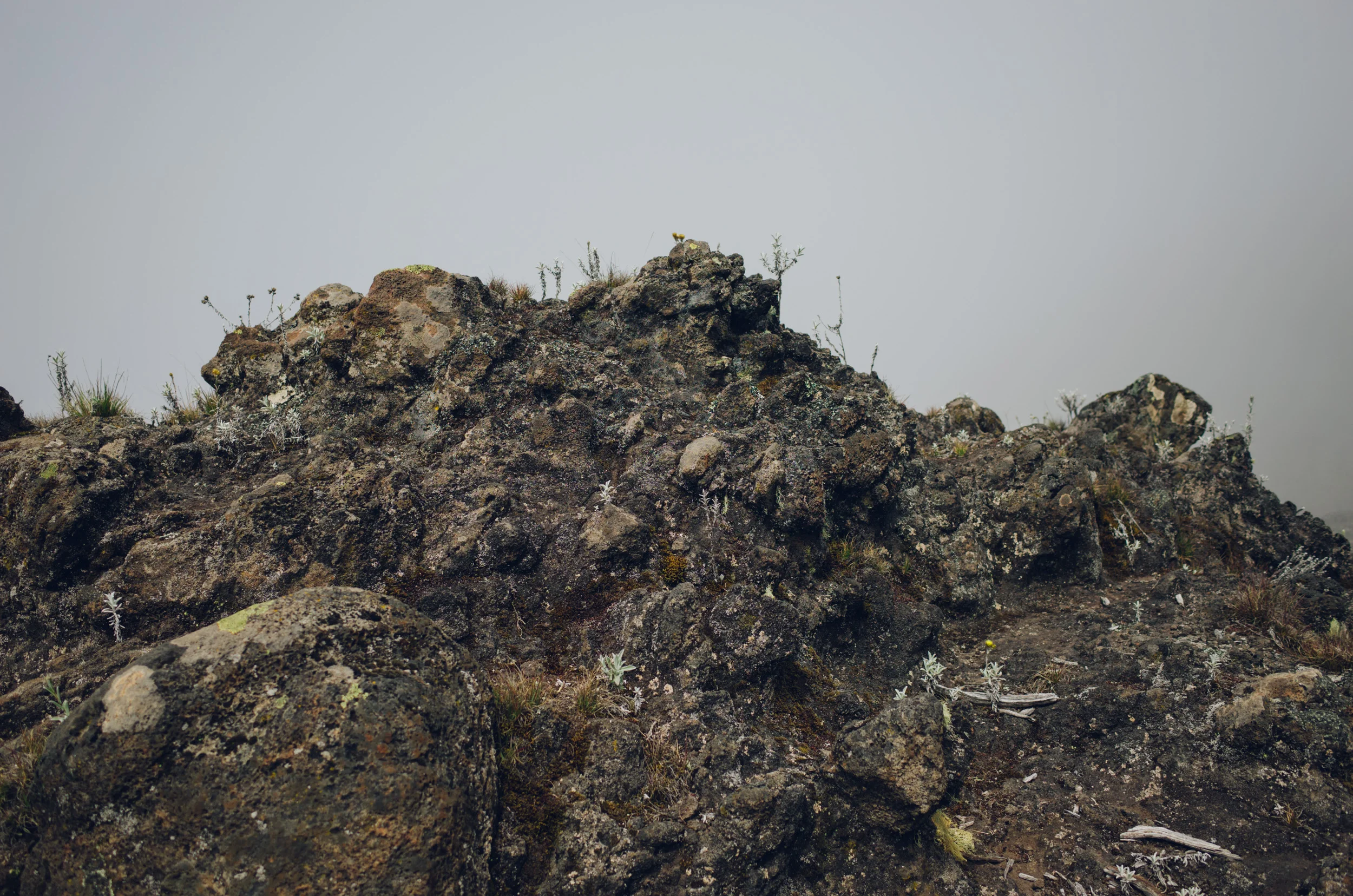 kilimanjaro_088.jpg