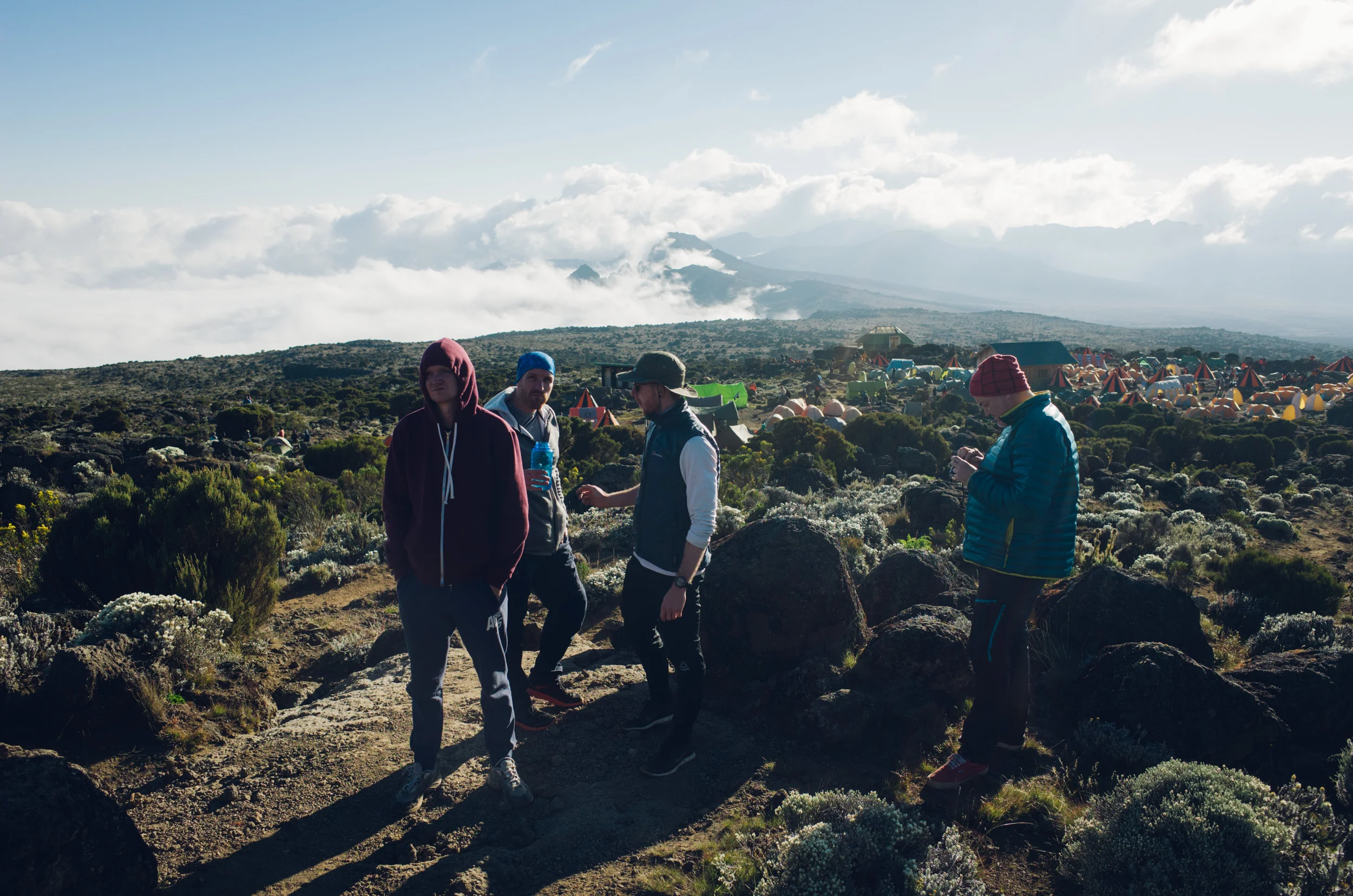 kilimanjaro_108.jpg