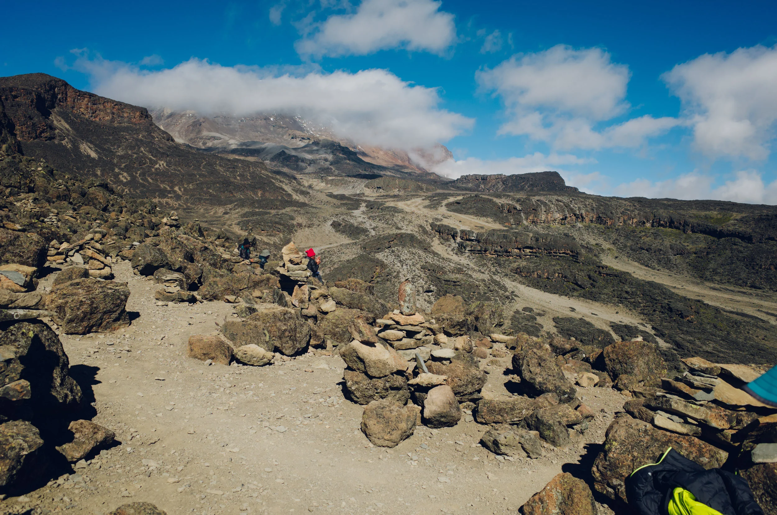 kilimanjaro_149.jpg