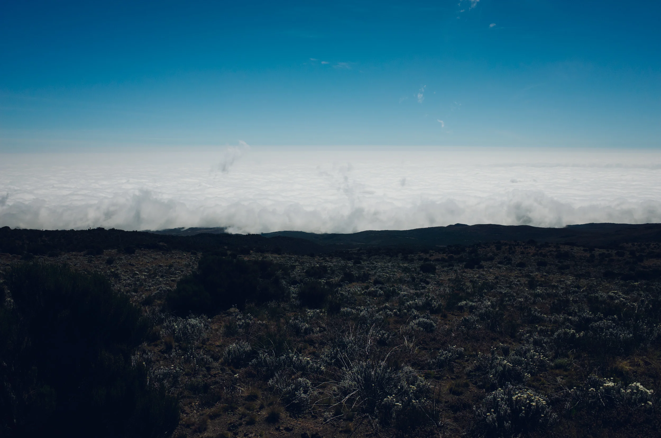 kilimanjaro_182.jpg