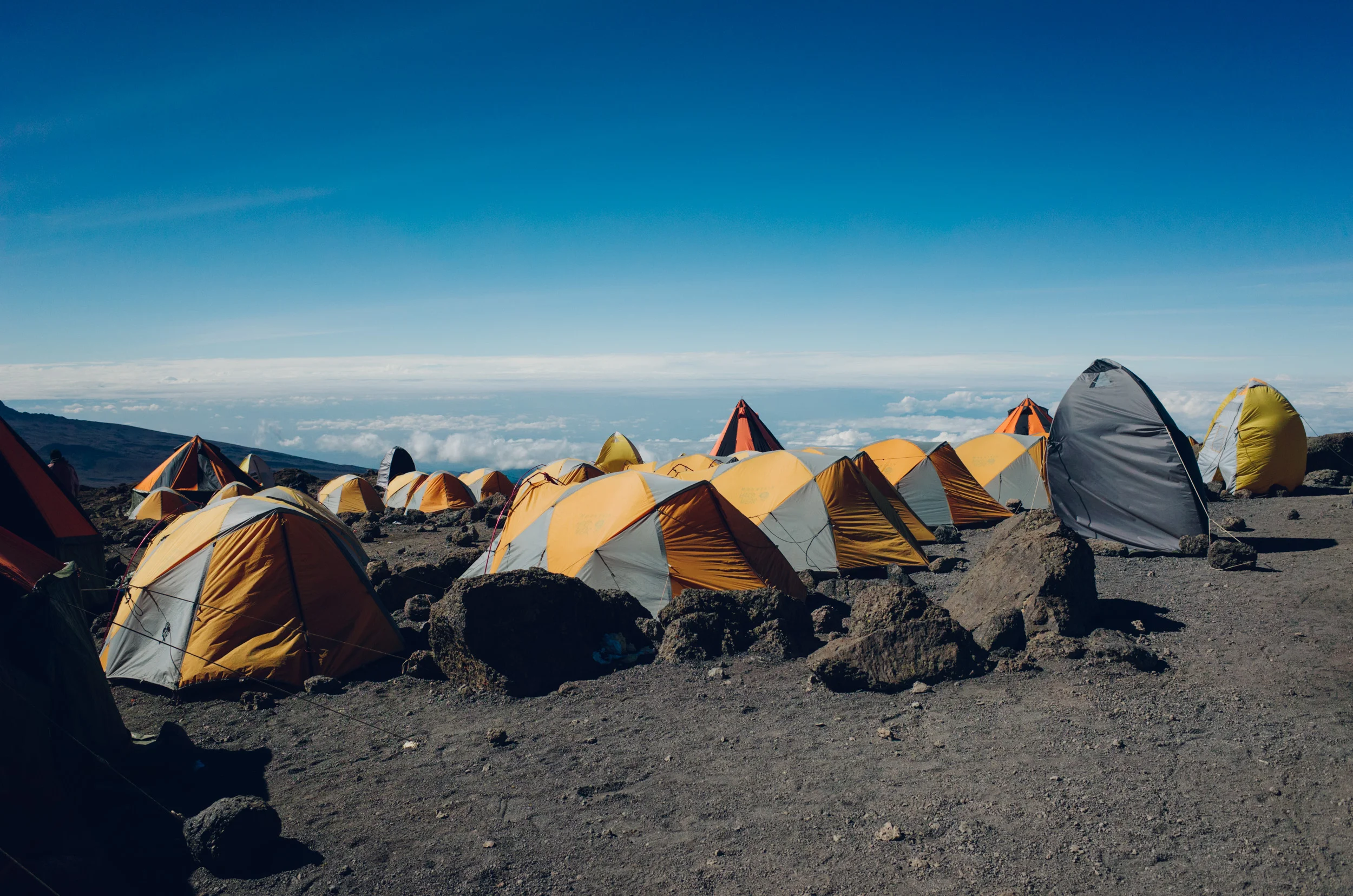 kilimanjaro_217.jpg
