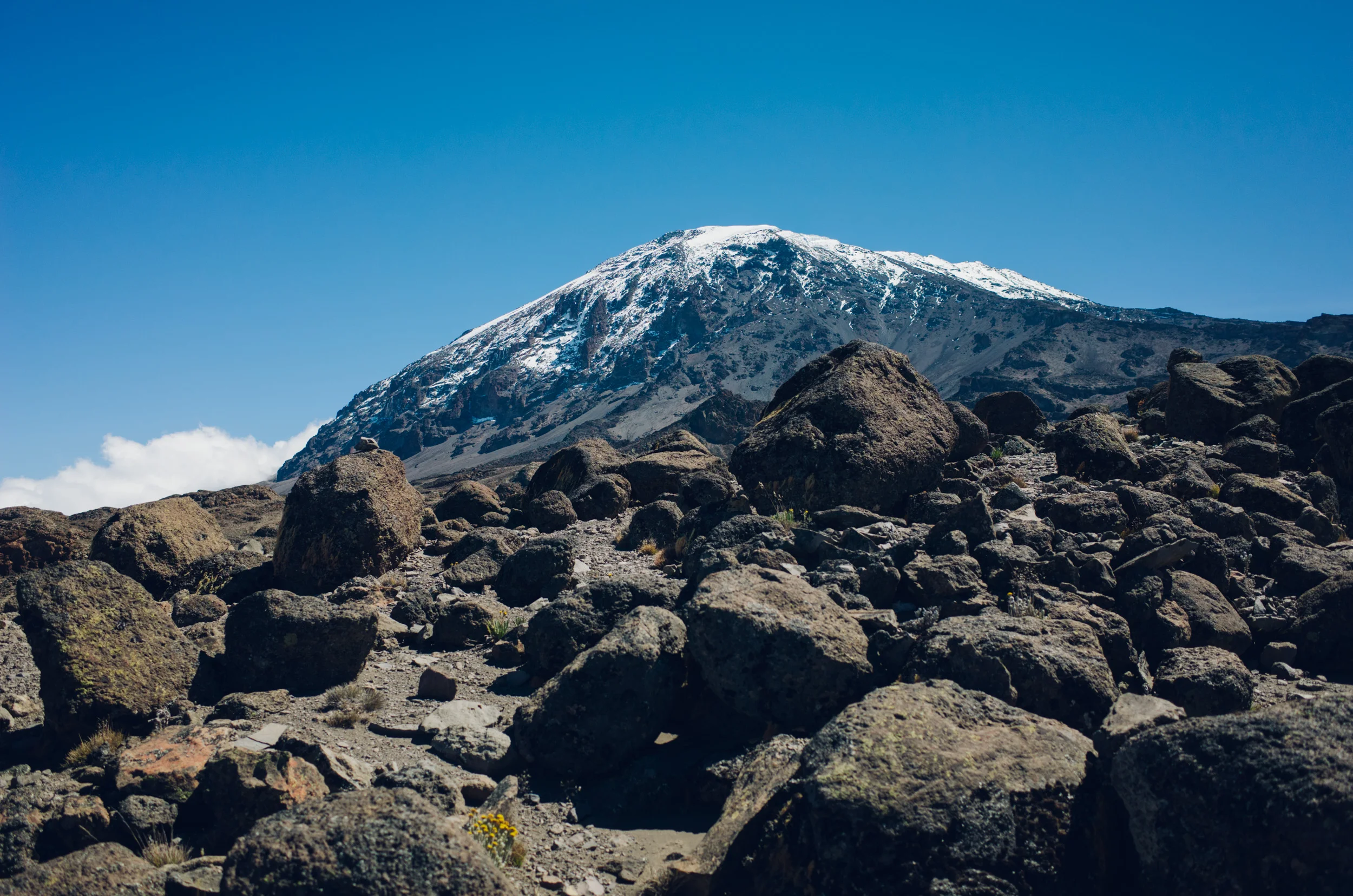 kilimanjaro_222.jpg
