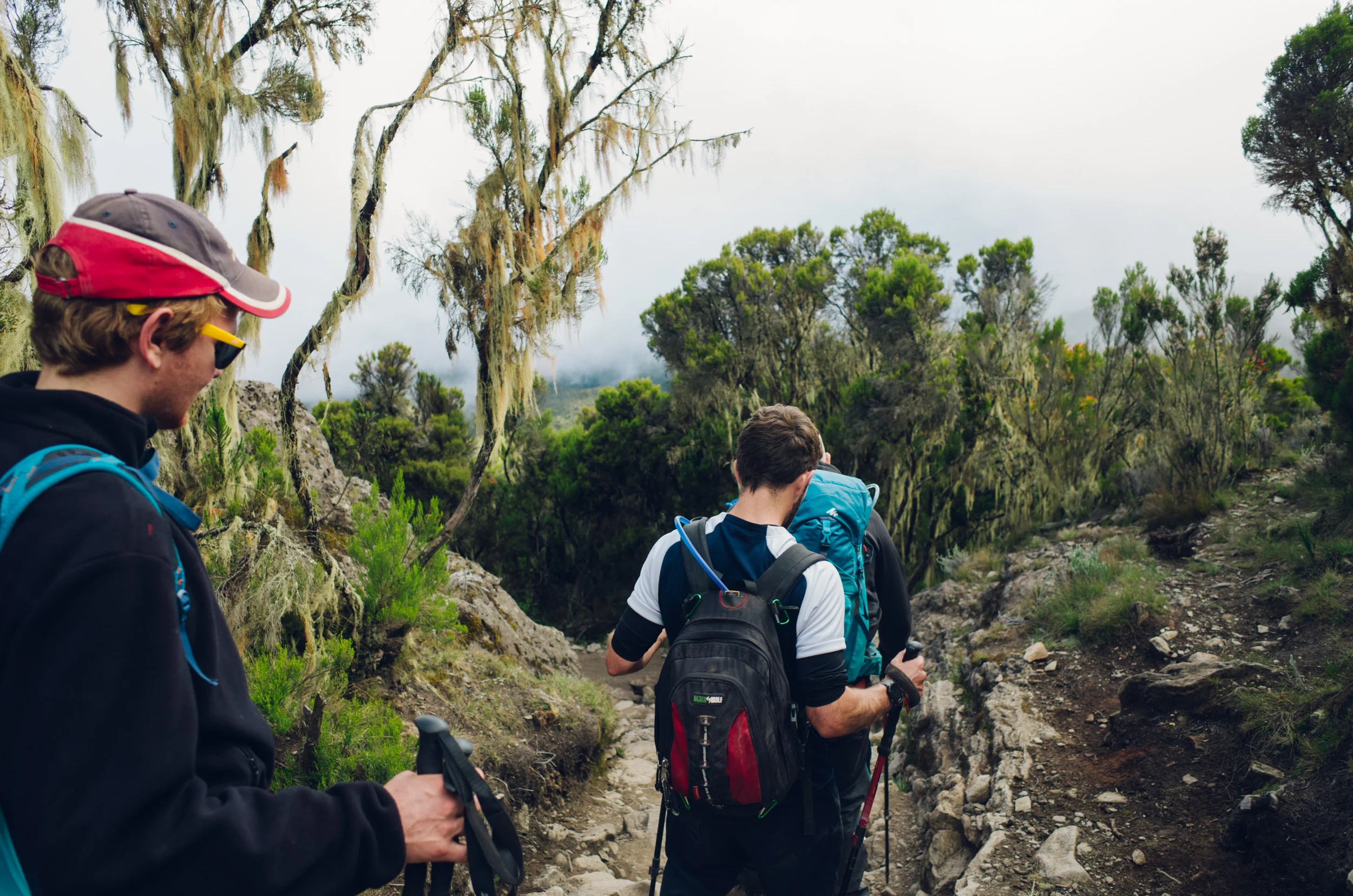 kilimanjaro_227.jpg