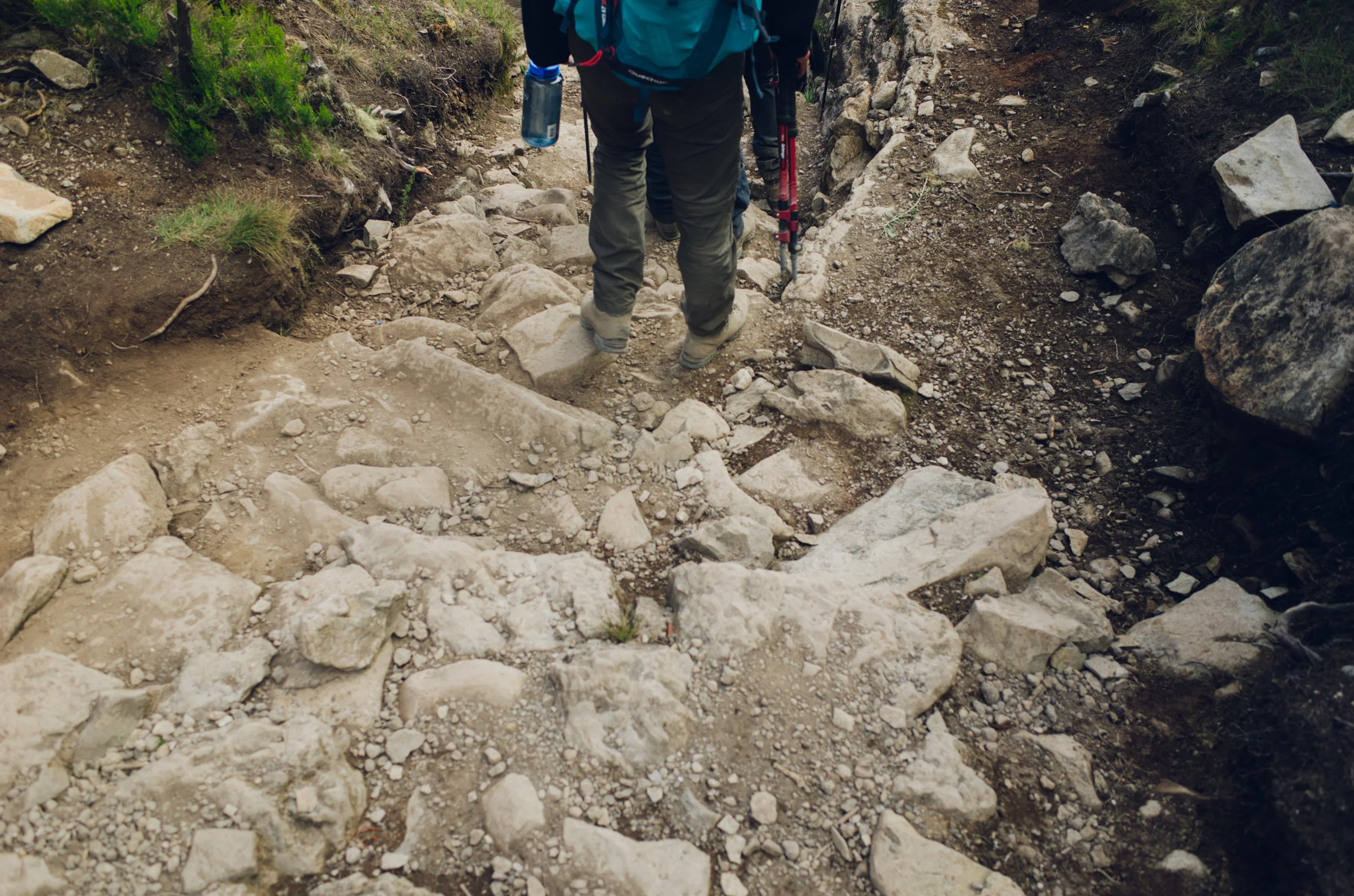 kilimanjaro_228.jpg