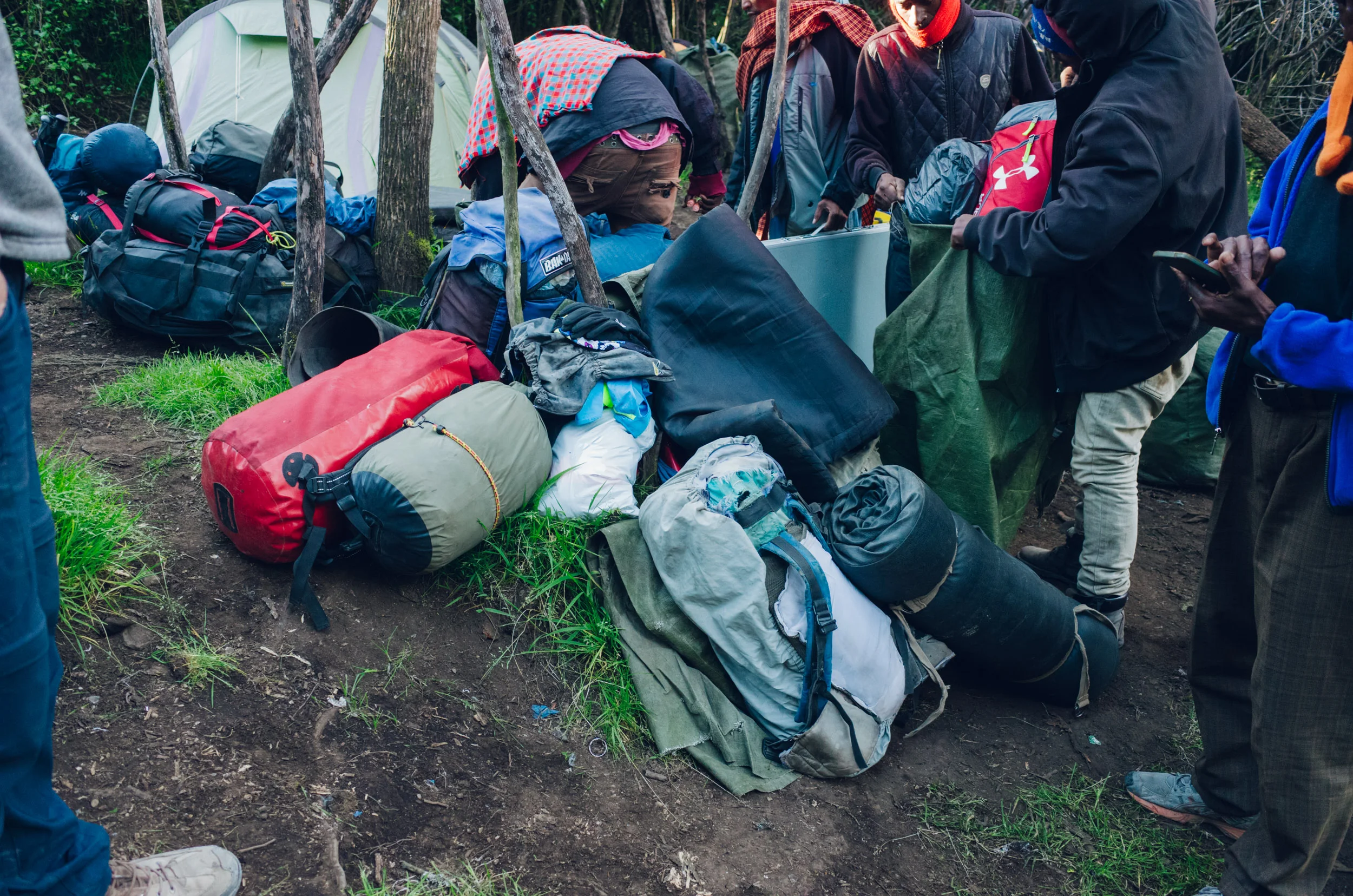 kilimanjaro_231.jpg
